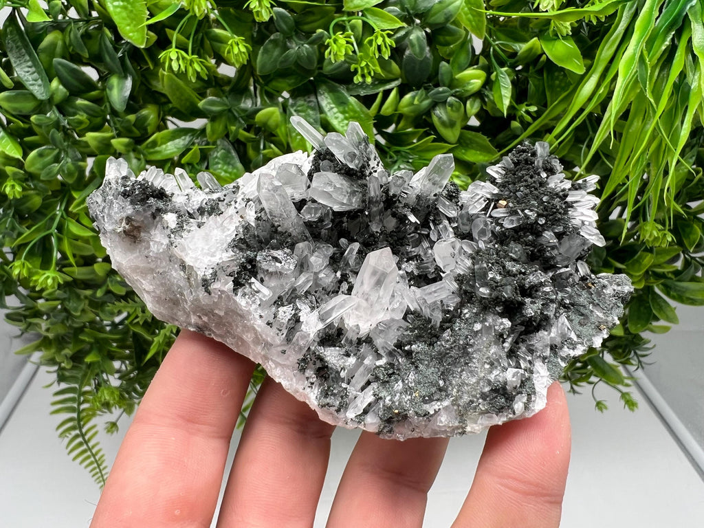 Chlorite Quartz Crystal Cluster - Borieva Mine, Bulgaria