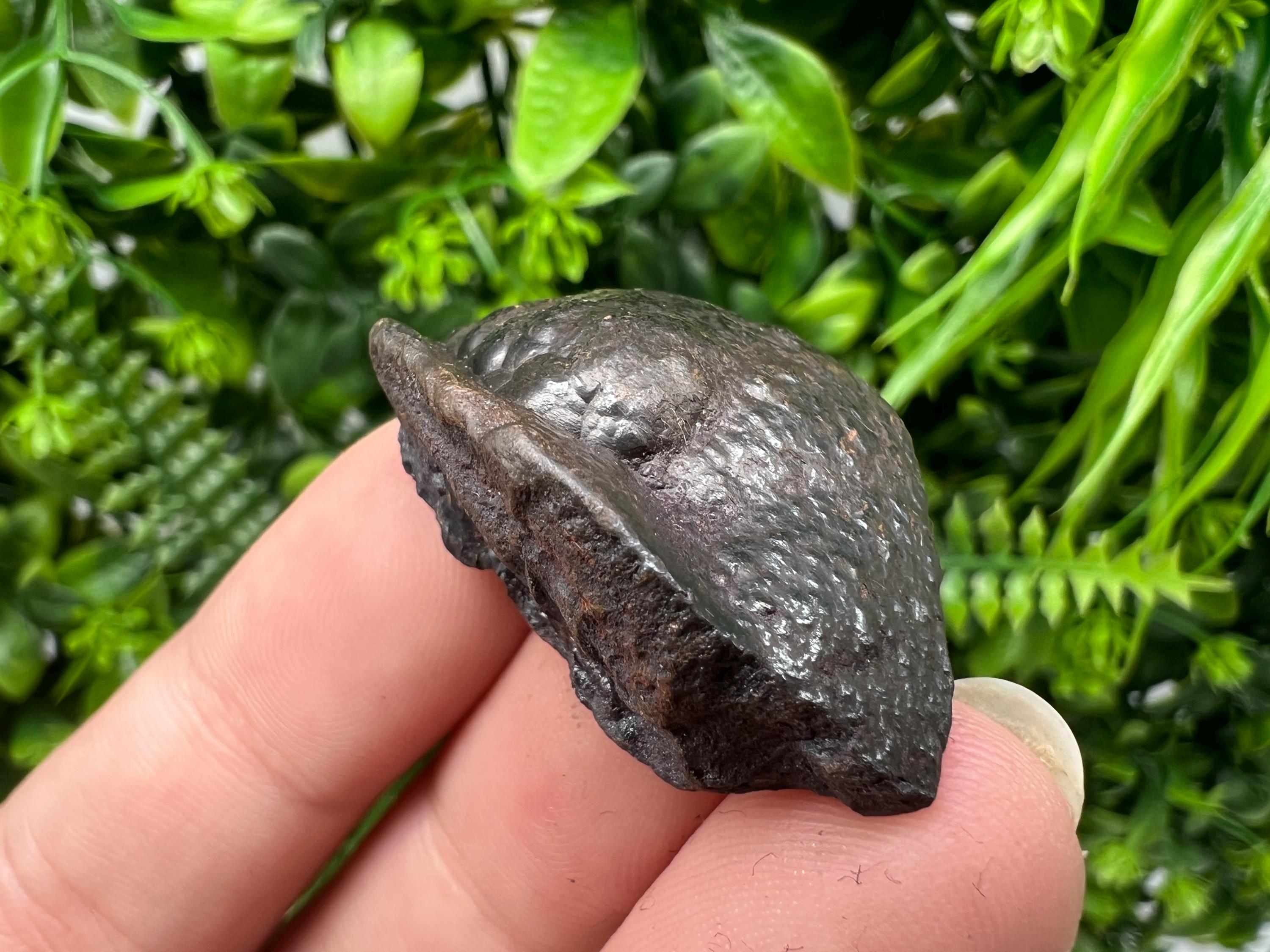 Botryoidal Black Hematite Specimen: Moroccan Crystal, Chakra Reiki