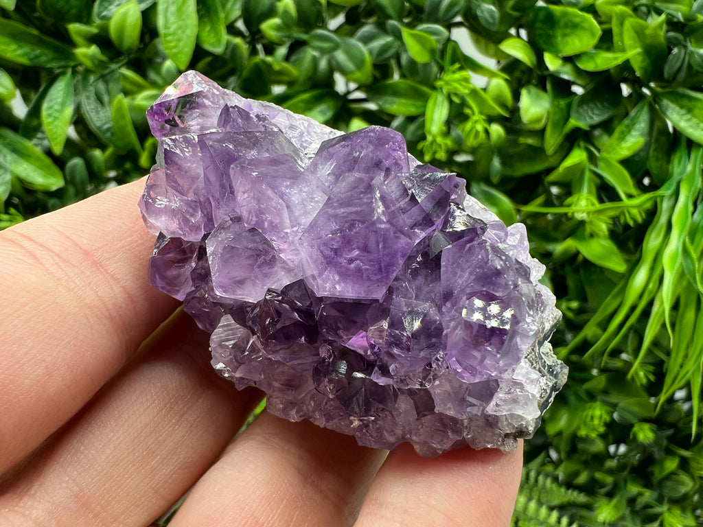 Uruguay Amethyst Crystal: Purple Quartz Phantom - Home Decor