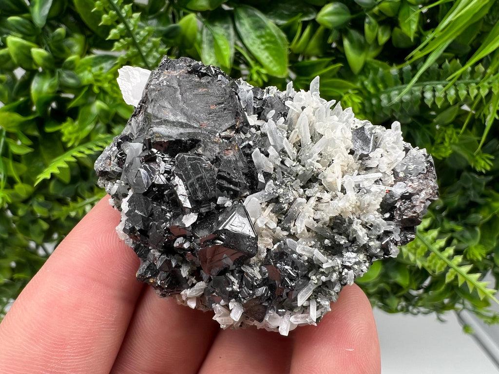 Wonderful Sphalerite,Quartz on Chlorite matrix,from Borieva mine,Madan,Bulgaria,natural collection mineral specimen,rare crystal,home decor