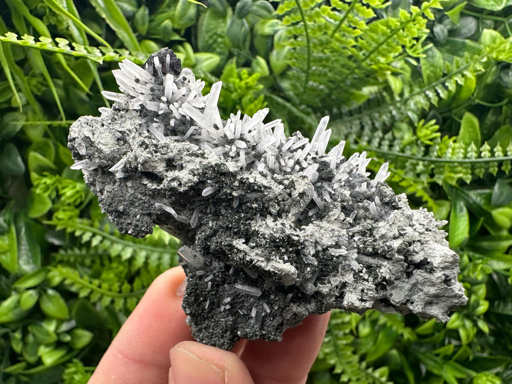 Quartz with Chlorite and Sphalerite, Borieva Mine Mineral Specimen