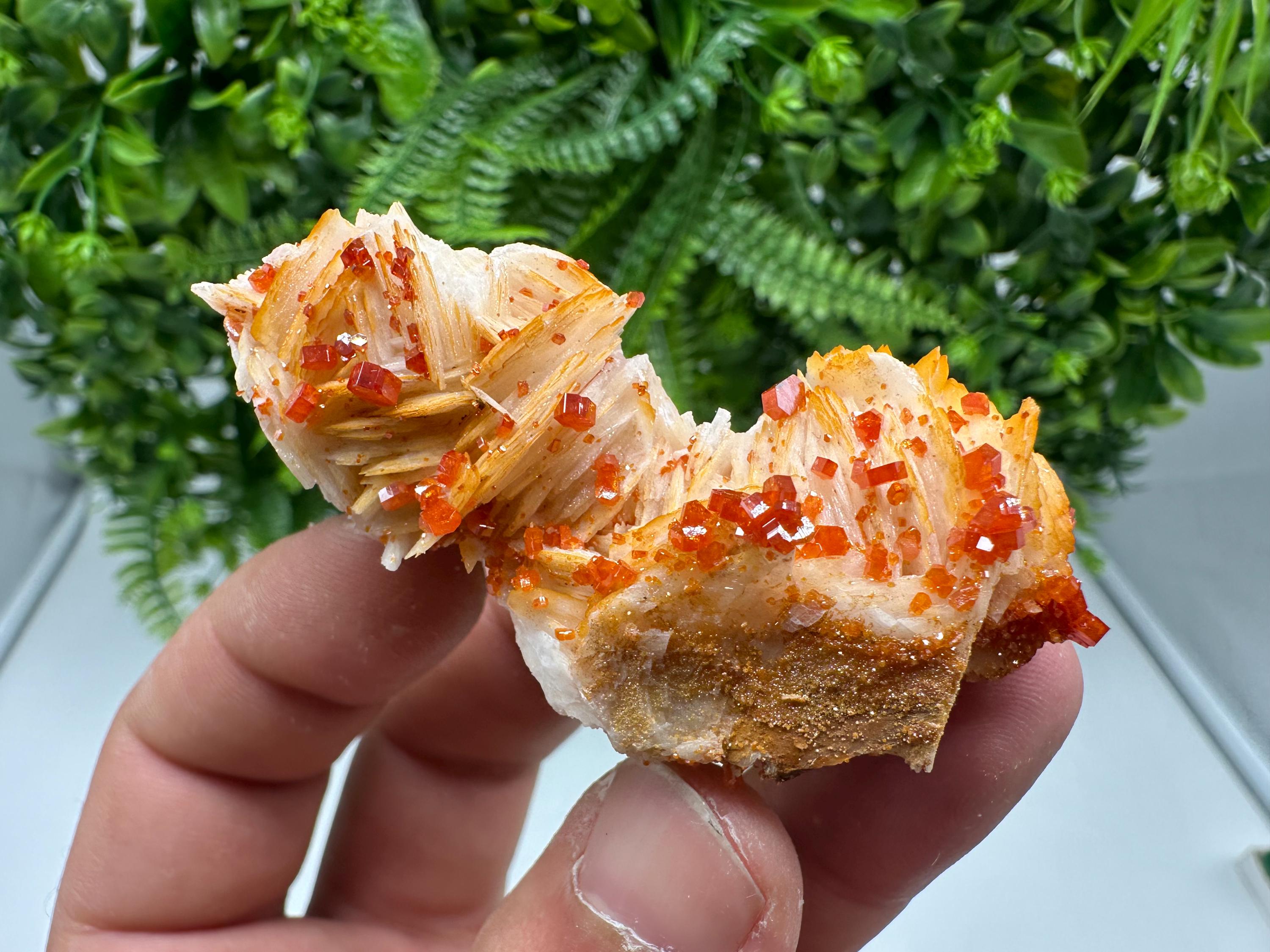 Red Vanadinite on Barite from Marocco,crystal minerals Speciment cluster Vanadinite crystal Vanadinite Geology Vanadinite cluster minerals