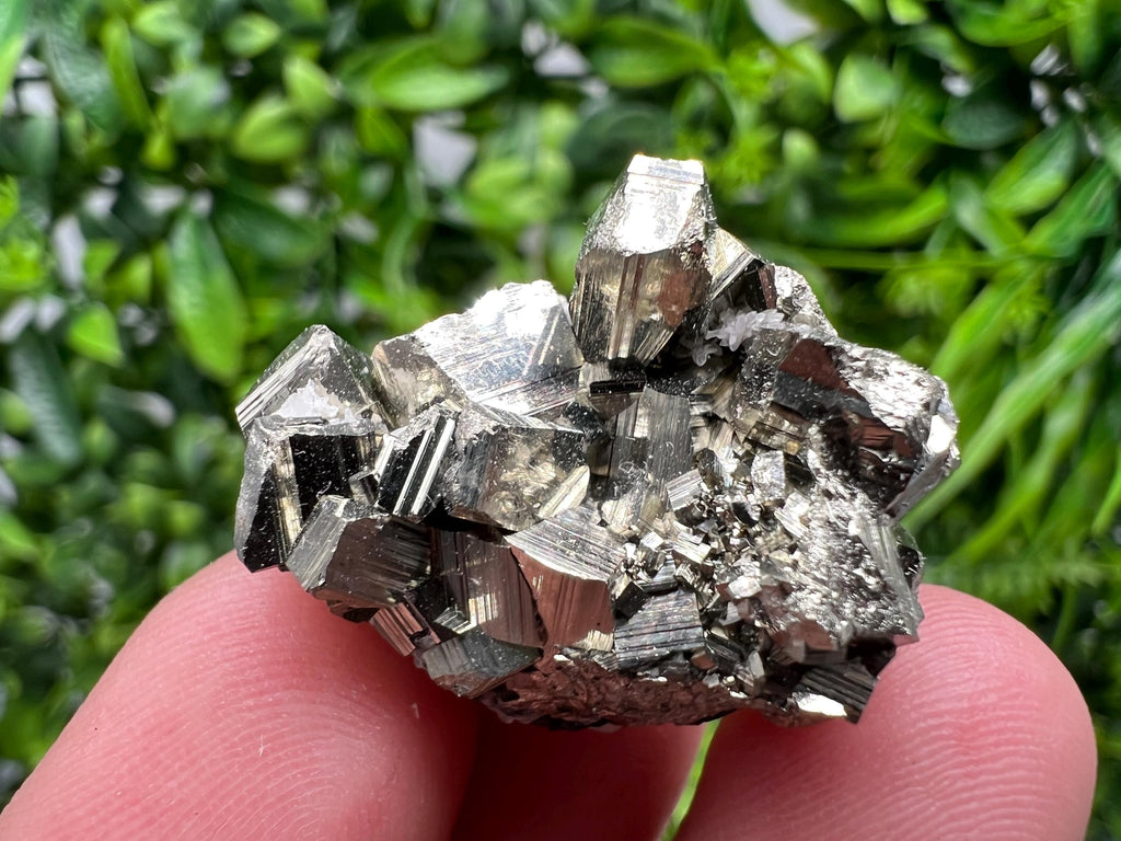 Golden Pyrite,Sphalerite from 9th September mine,Madan,Bulgaria,natural,collectible mineral specimen,home decor crystal,Pyrite cluster,