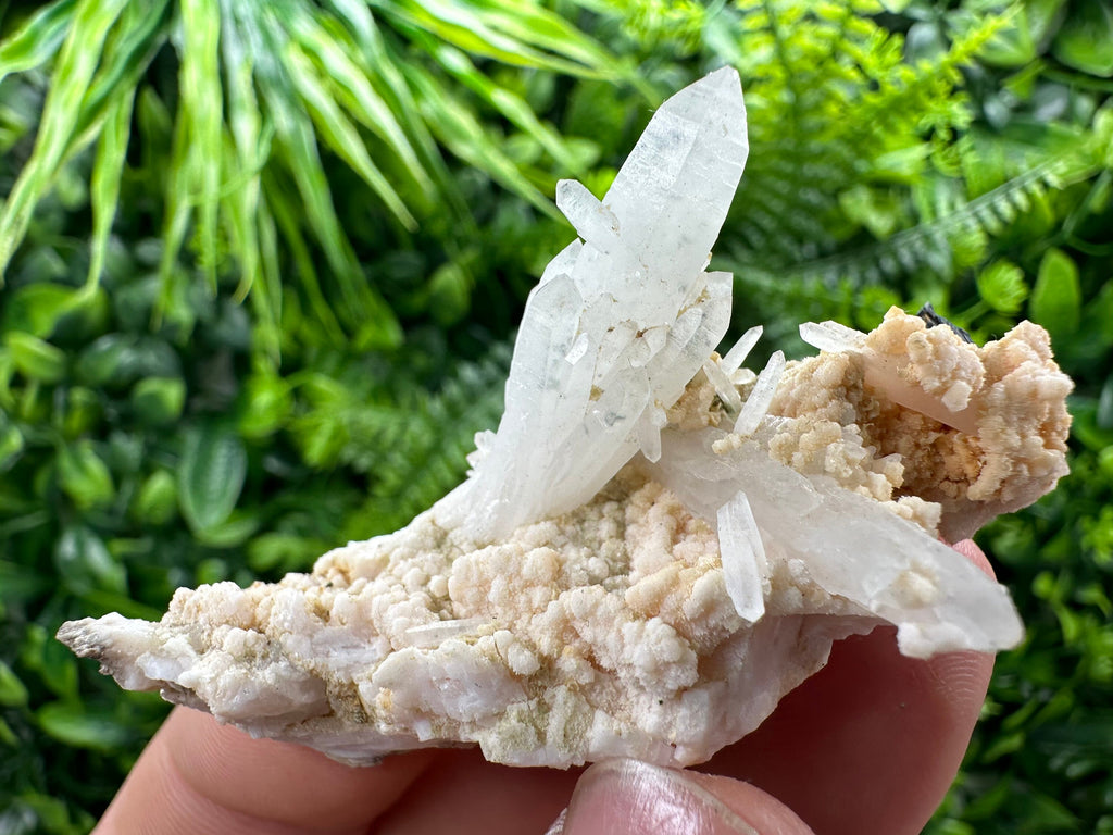 Quartz with Chlorite, Rhodochrosite & Siderite Mineral Specimen