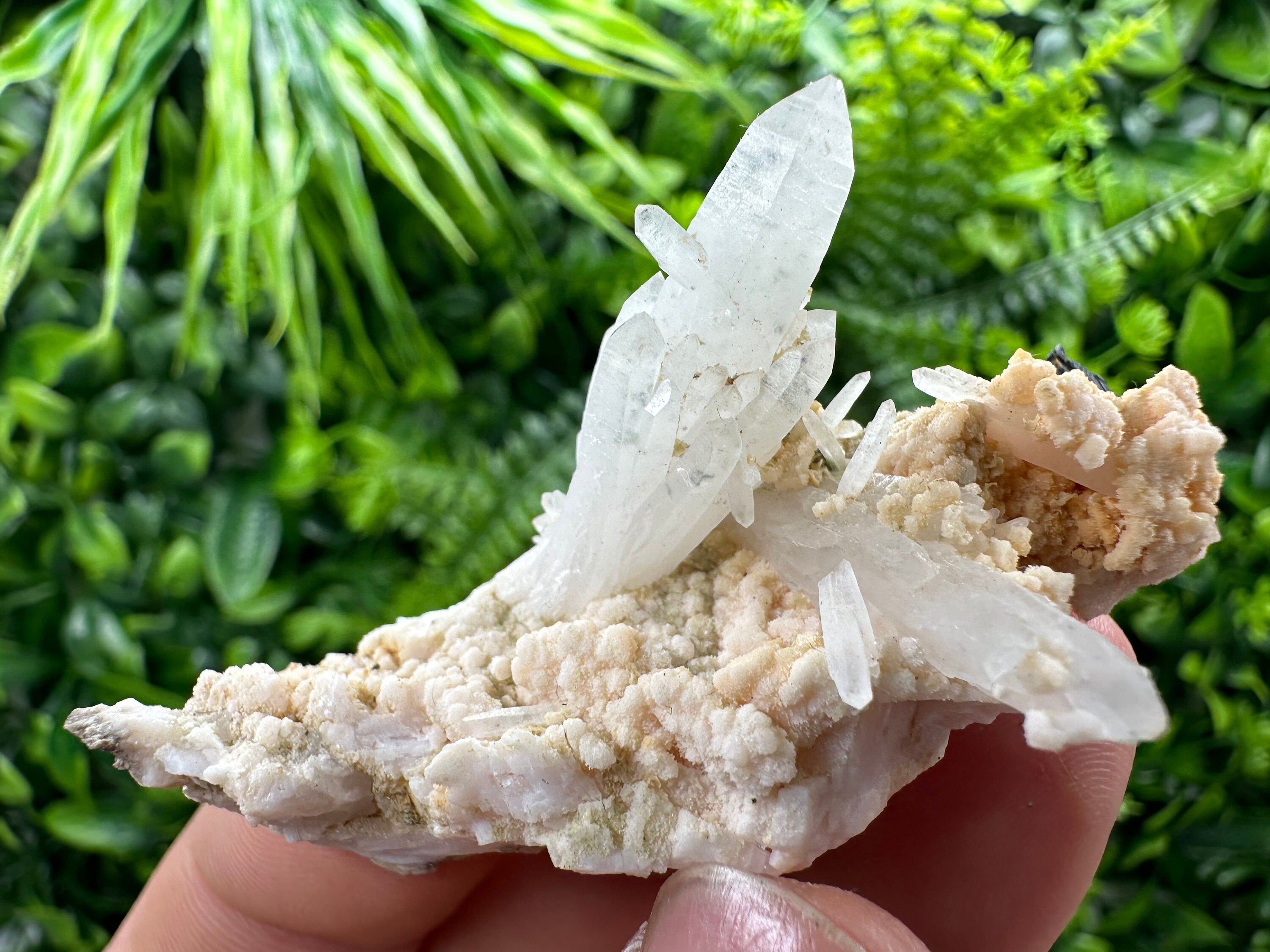 Quartz with Chlorite, Rhodochrosite & Siderite Mineral Specimen