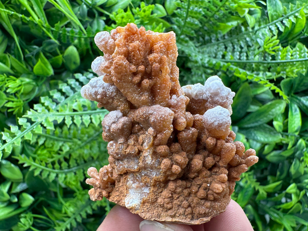 Dimitrovgrad Aragonite Cluster, Bulgaria Crystal Mineral Specimen