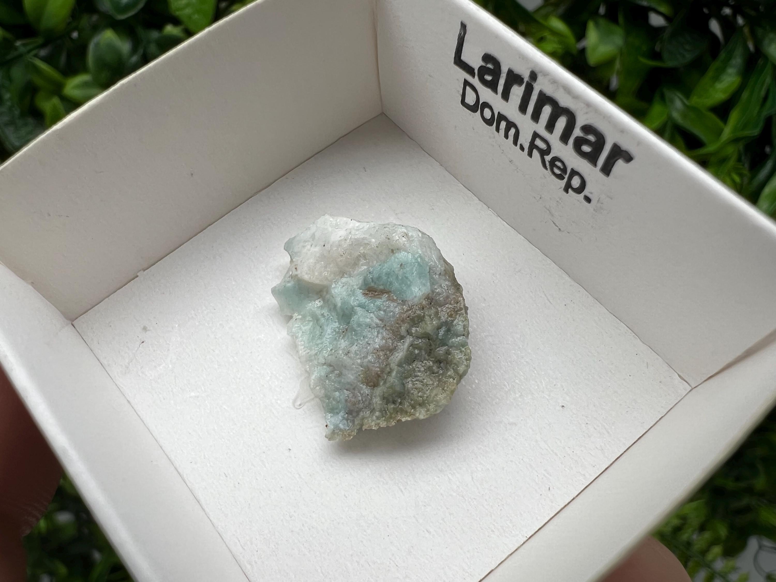 Rare Raw Larimar Specimen: Dom. Rep. Mineral Collection (25/20mm)