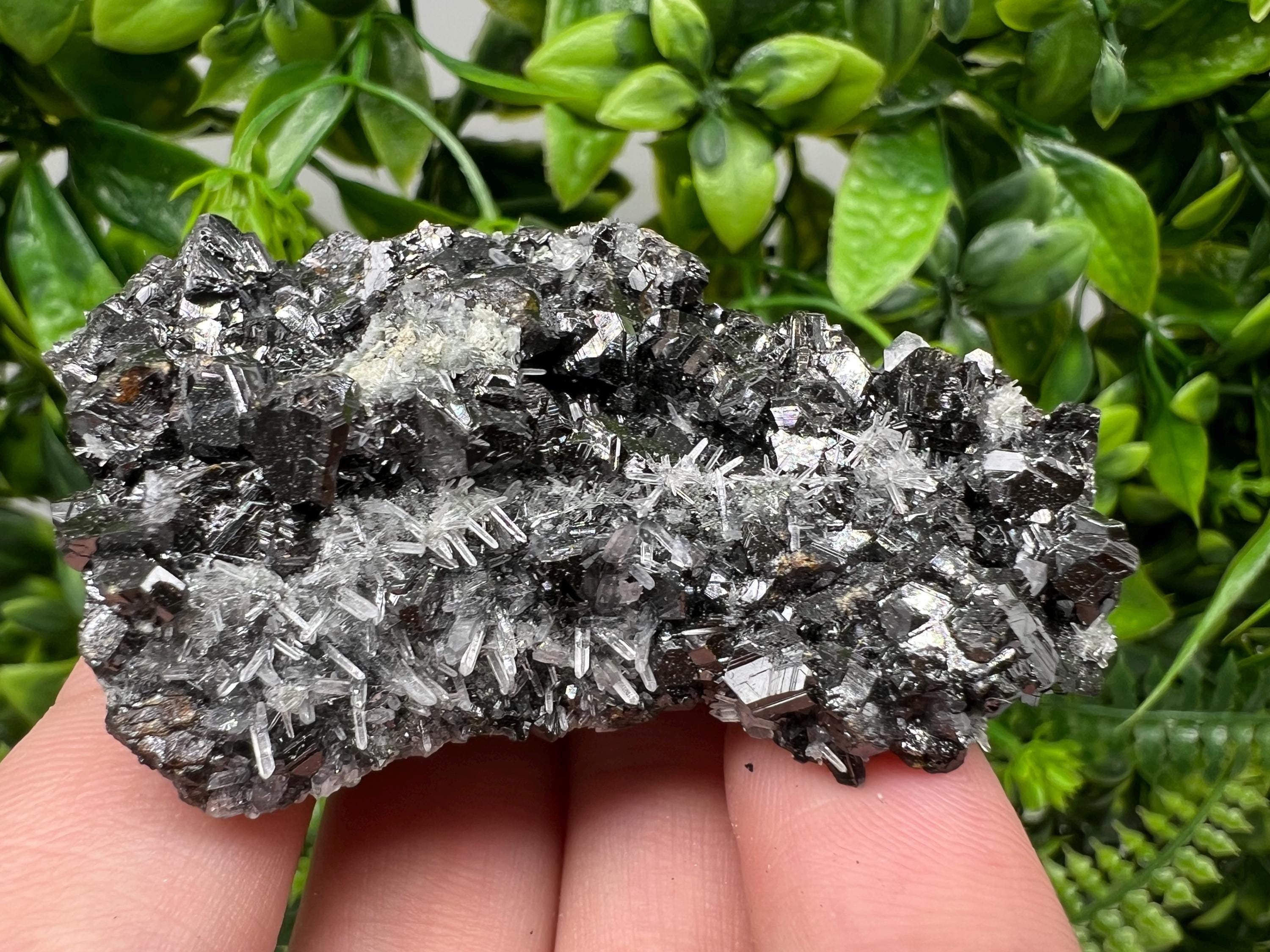 Wonderful melted Galena,Sphalerite calcite Pyrite on Quartz from Borieva mine Madan Bulgaria natural minerals souvenir crystal home decor cr