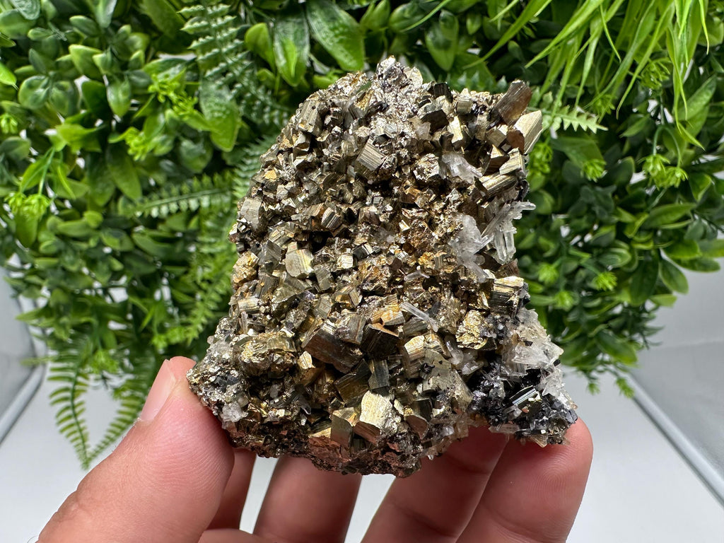 Rainbow Pyrite on Quartz with Oxide, Borieva Bulgaria