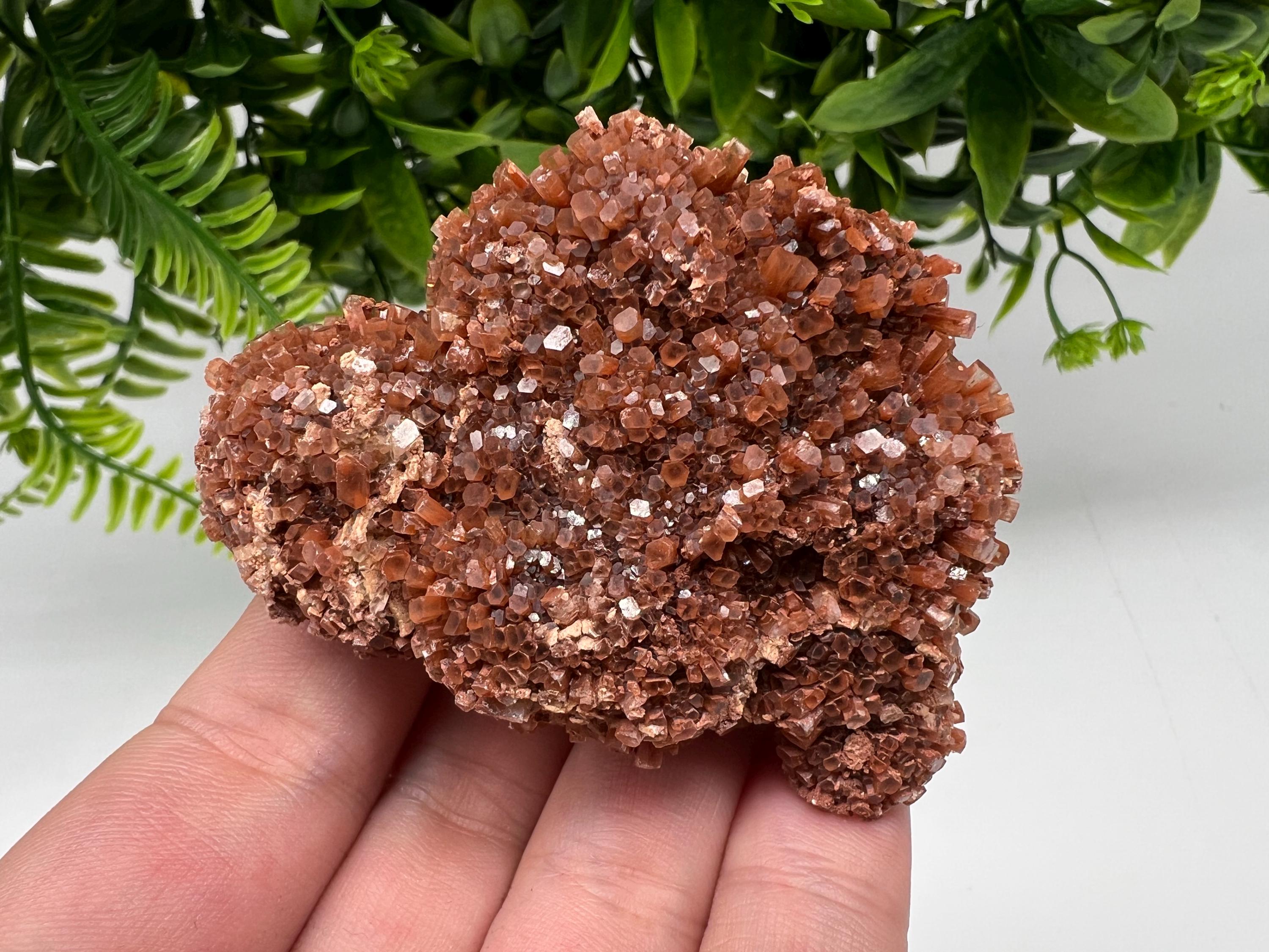 Large Aragonite Sputnik Cluster: Raw Moroccan Crystal Stone, Home Decor