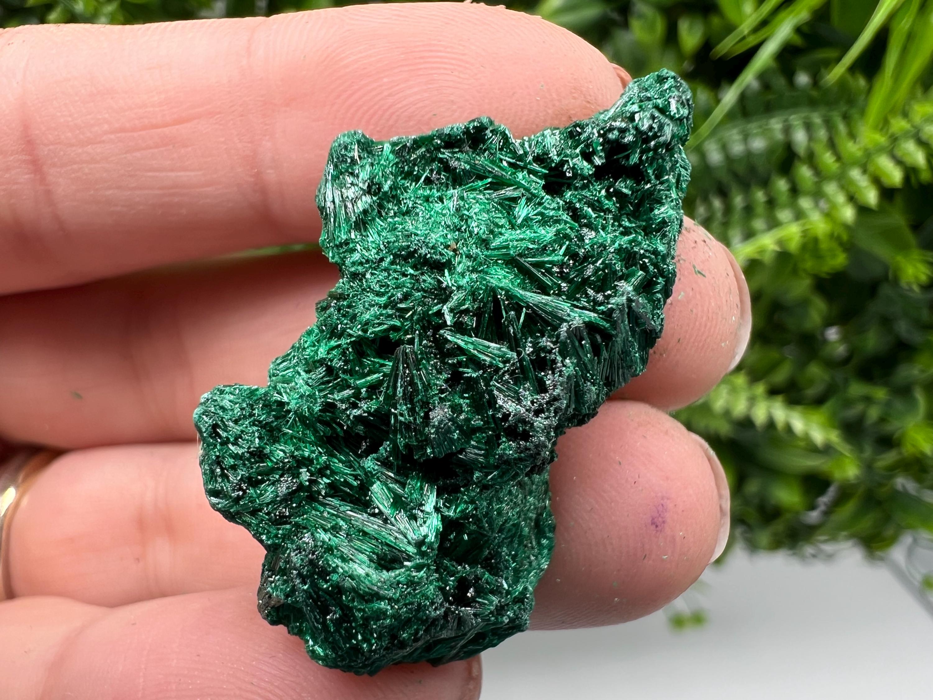 Malachite Crystal from Congo,Minerals,Crystals from Congo,Green Malachite, Malachite,Natural Malachite,Malachite Stone,Chakra, Specimens