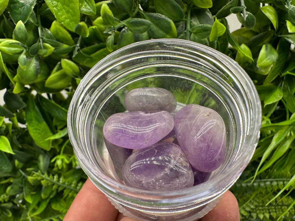 Amethyst Tumbled Stones: Healing Crystals, Zodiac Gems
