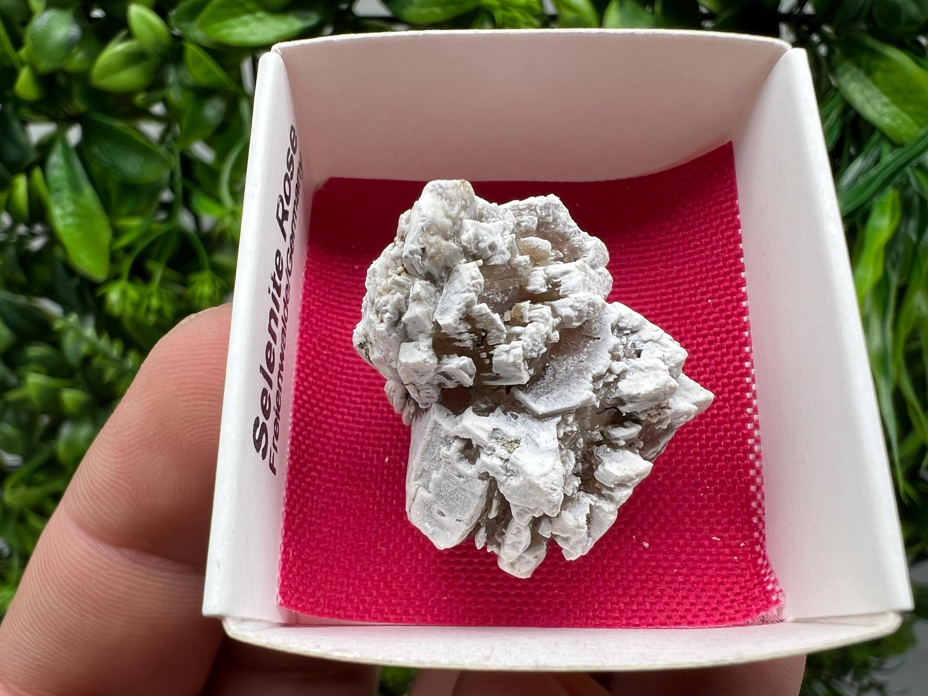 Selenite Rose Freienwalde,Germany natural crystal minerals,specimen,clusters,souvenirs,home decor,gift minerals,rare stone,collection