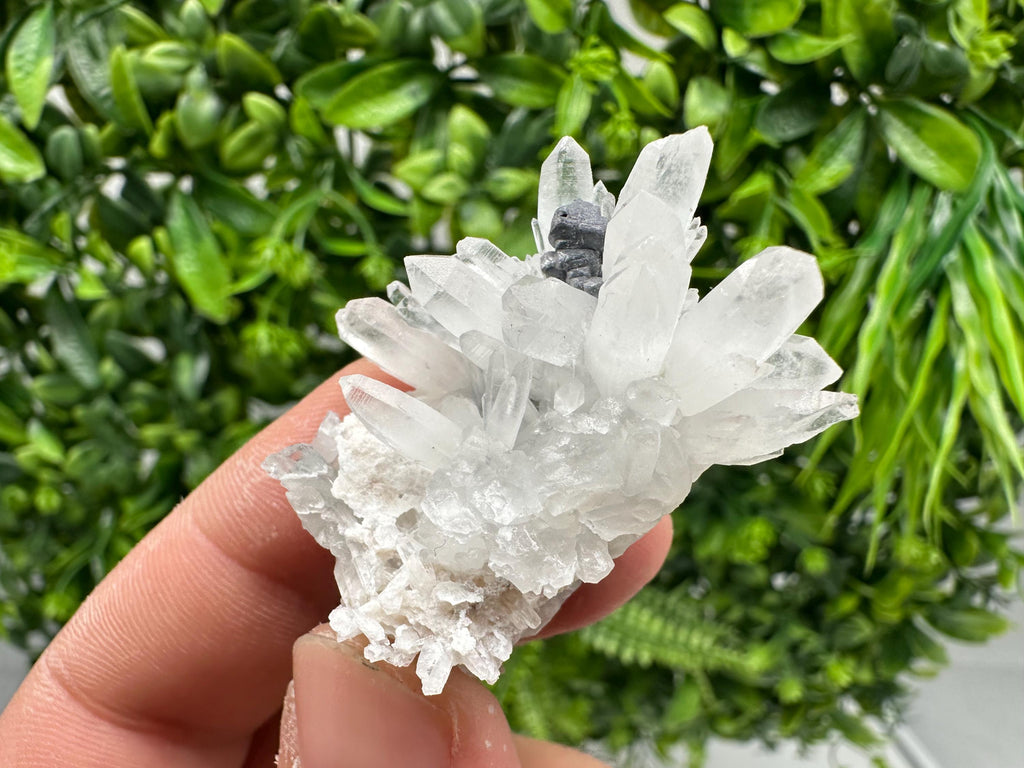 Stunning Sphalerite on  Quarzt from Borieva mine,Madan,Bulgaria,natural,collection mineral specimen,home decor crystal,gift,collection