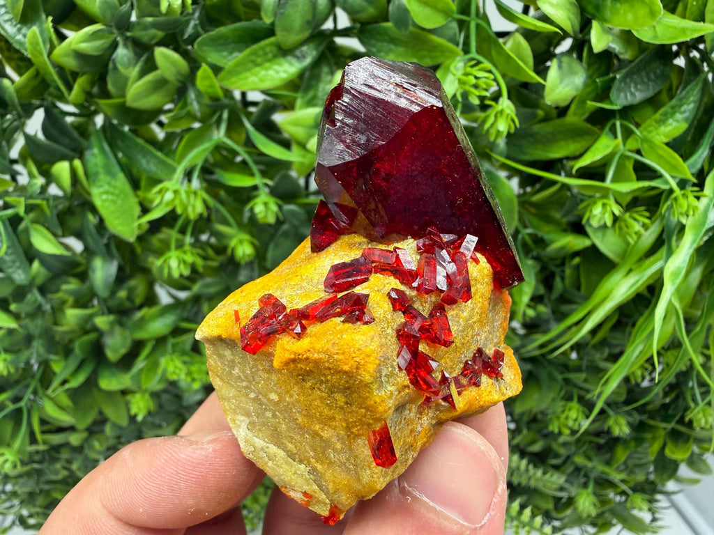XXL Laboratory Pruskite Ruby Crystal on Matrix