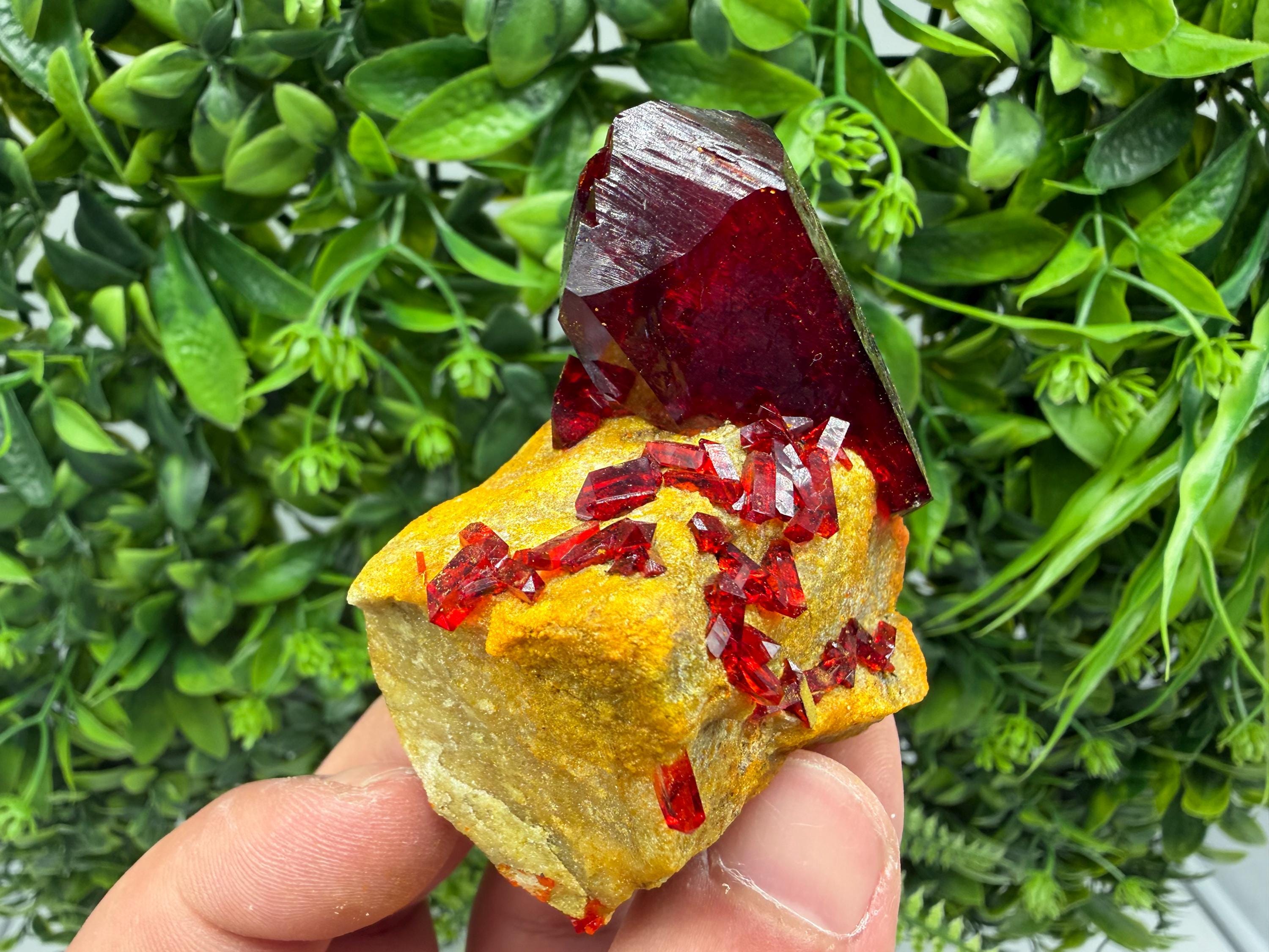 XXL Laboratory Pruskite Ruby Crystal on Matrix