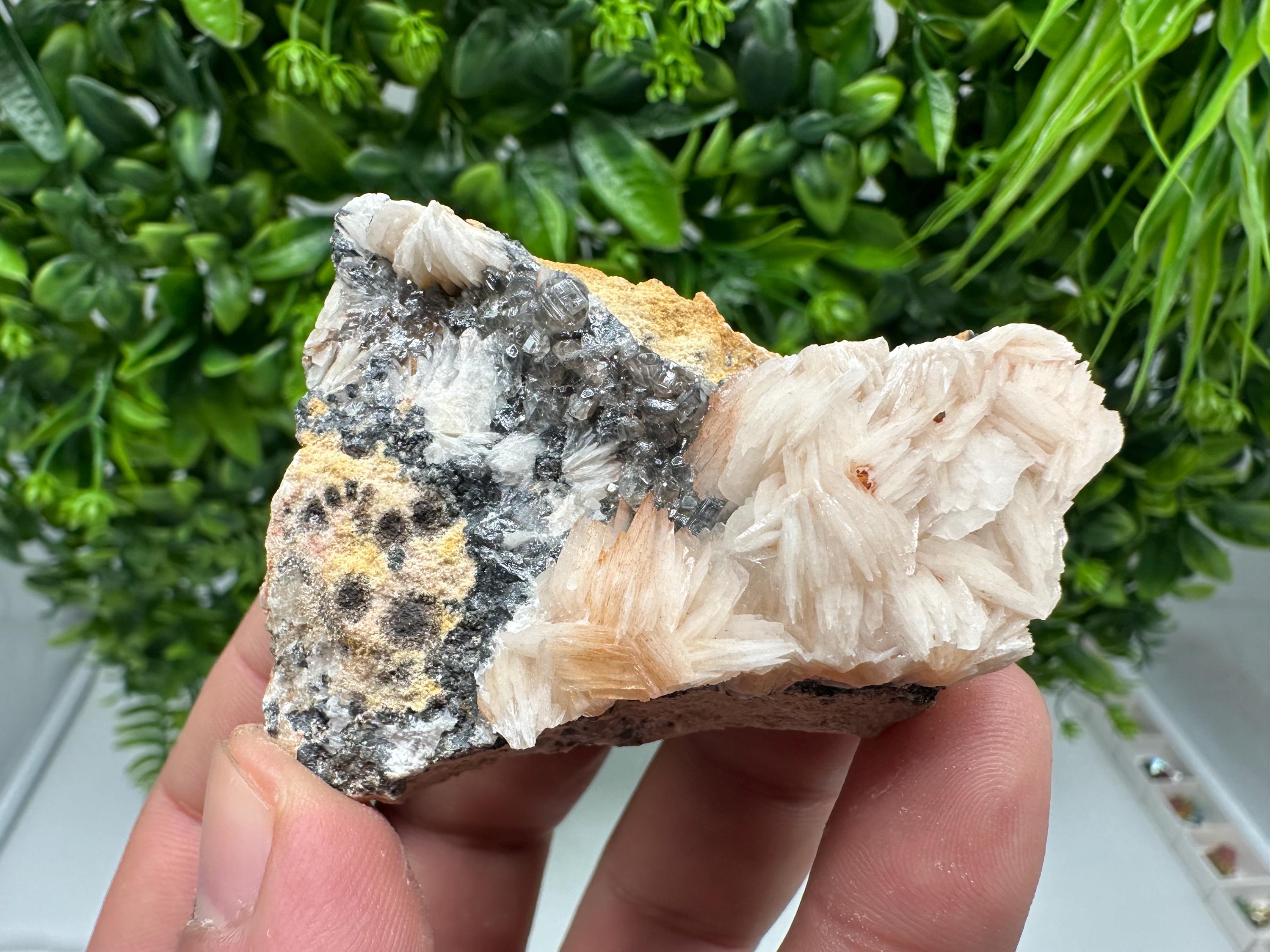 Wonderful Baryte with Cerussite on Galena from Morocco, Crystal, Mineral, Specimen, Cluster, Crystals, Barite Crystal, Cerussite Crystal, Specimen