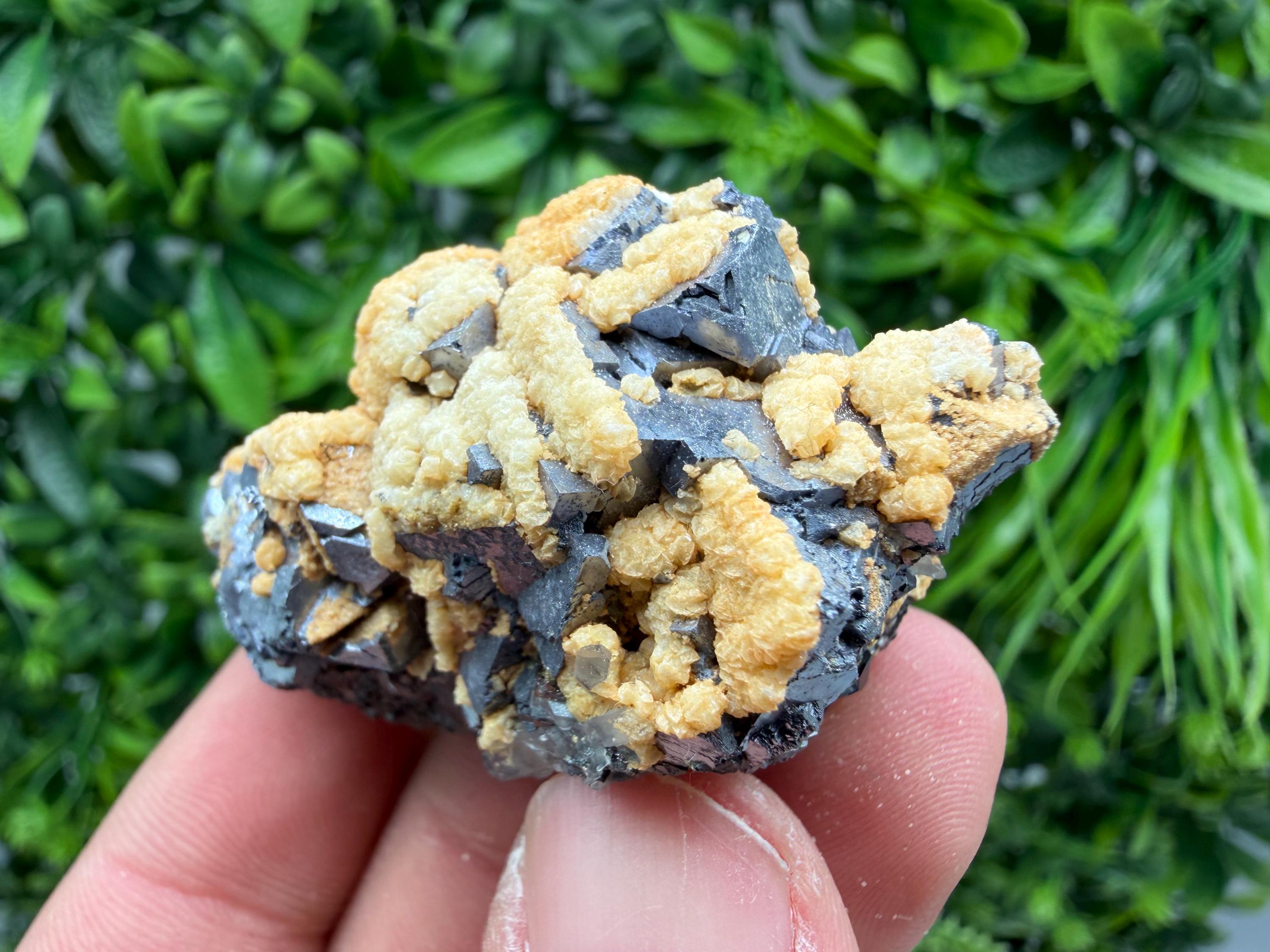 Skeletal Galena with Dolomite: Krushev Dol Mine, Bulgaria