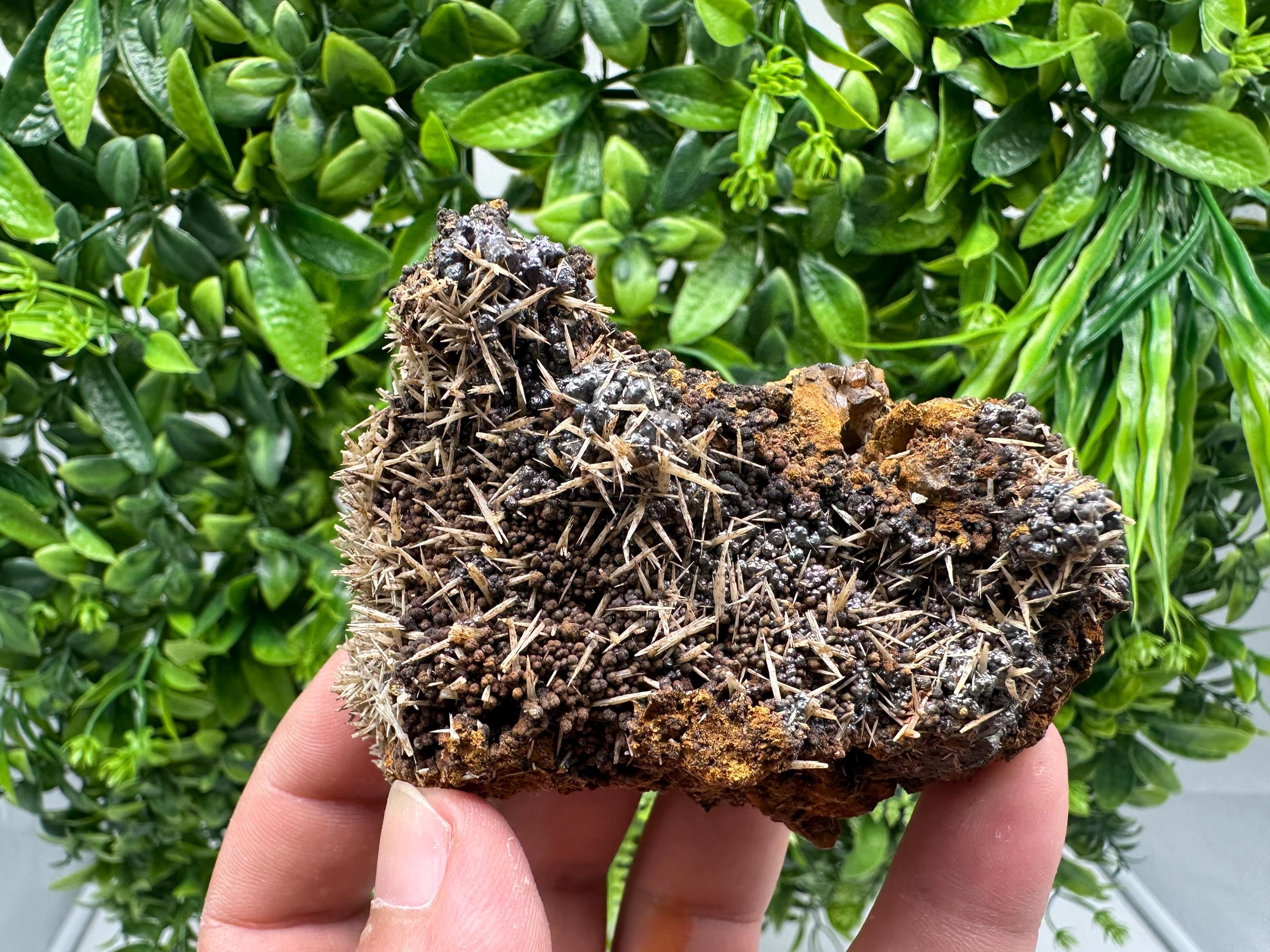 Rare Green/Yellow Pyromorphite and Hematite on Quartz, Bulgaria Mineral