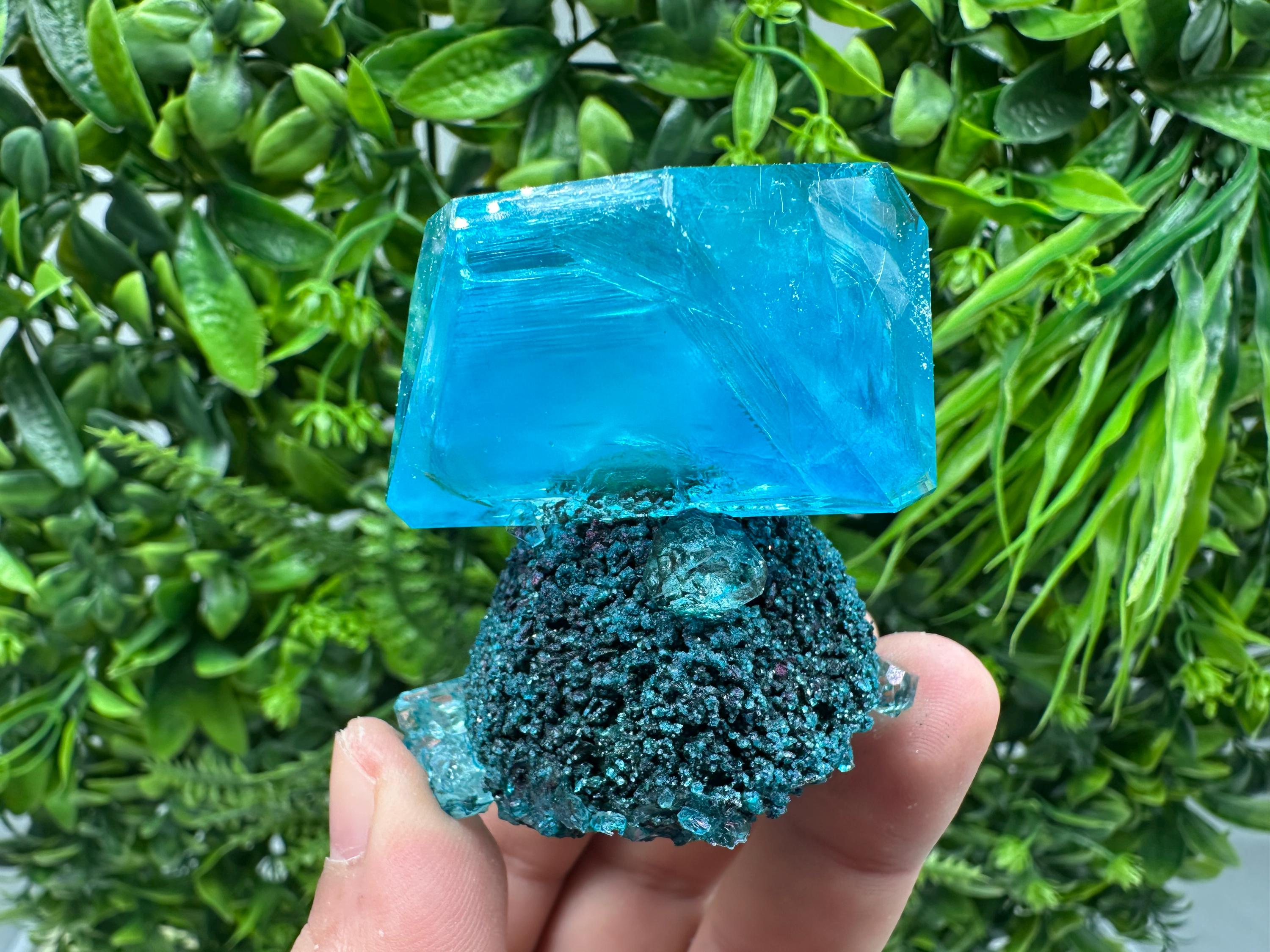 Exceptional Turquoise ALUNITE Aqua Crystal on Matrix UV Active, lab minerals