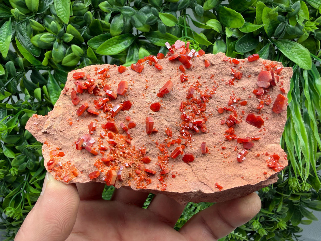 Red Vanadinite on Matrix from Marocco,crystal minerals Speciment cluster Vanadinite crystal Vanadinite Geology Vanadinite cluster minerals