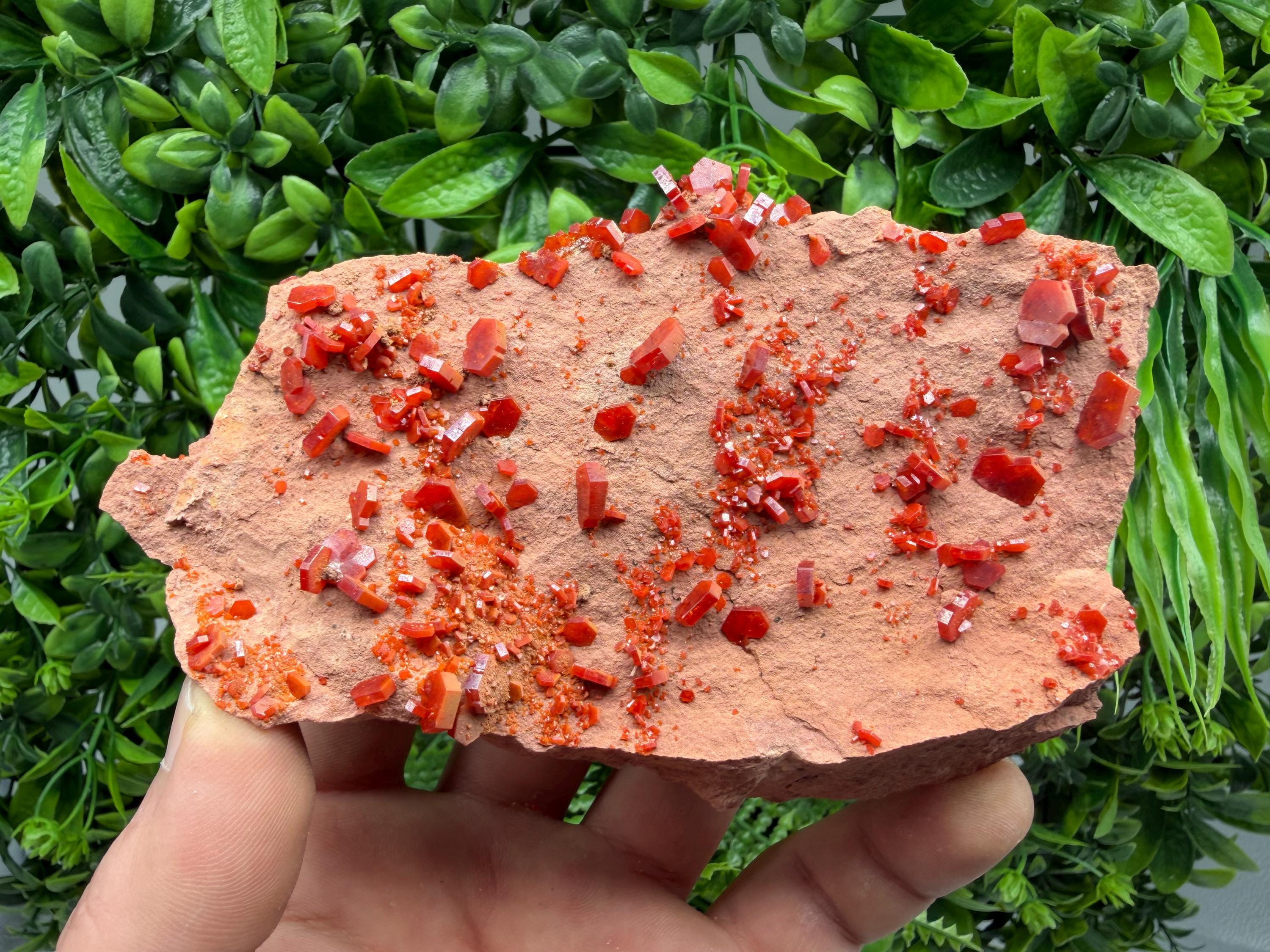 Red Vanadinite on Matrix from Marocco,crystal minerals Speciment cluster Vanadinite crystal Vanadinite Geology Vanadinite cluster minerals