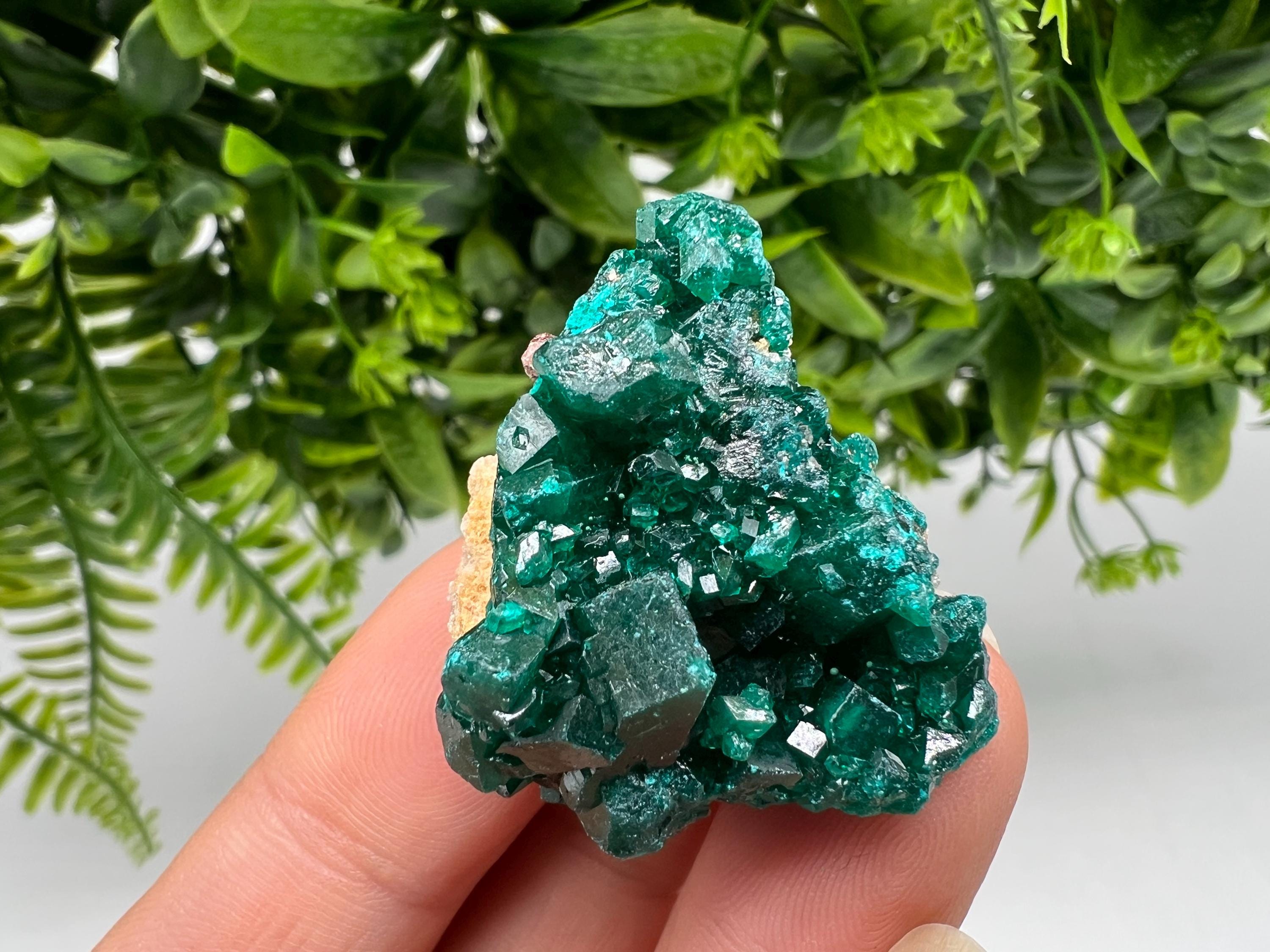 Stunning Green Dioptase from Sanda Hills,Mindouli,Pool Department,Mindouli District,Congo,green Dioptase,Dioptas Crystal,Dioptase collecting