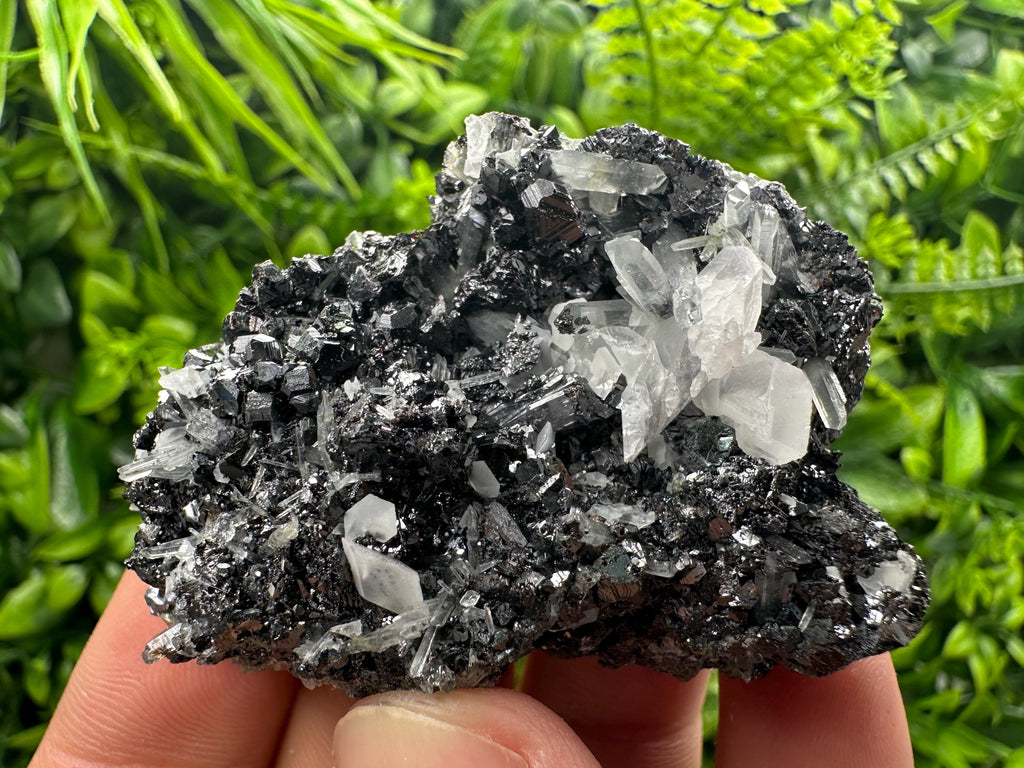 Black Sphalerite Cluster: Natural Mineral Souvenir, Borieva Bulgaria