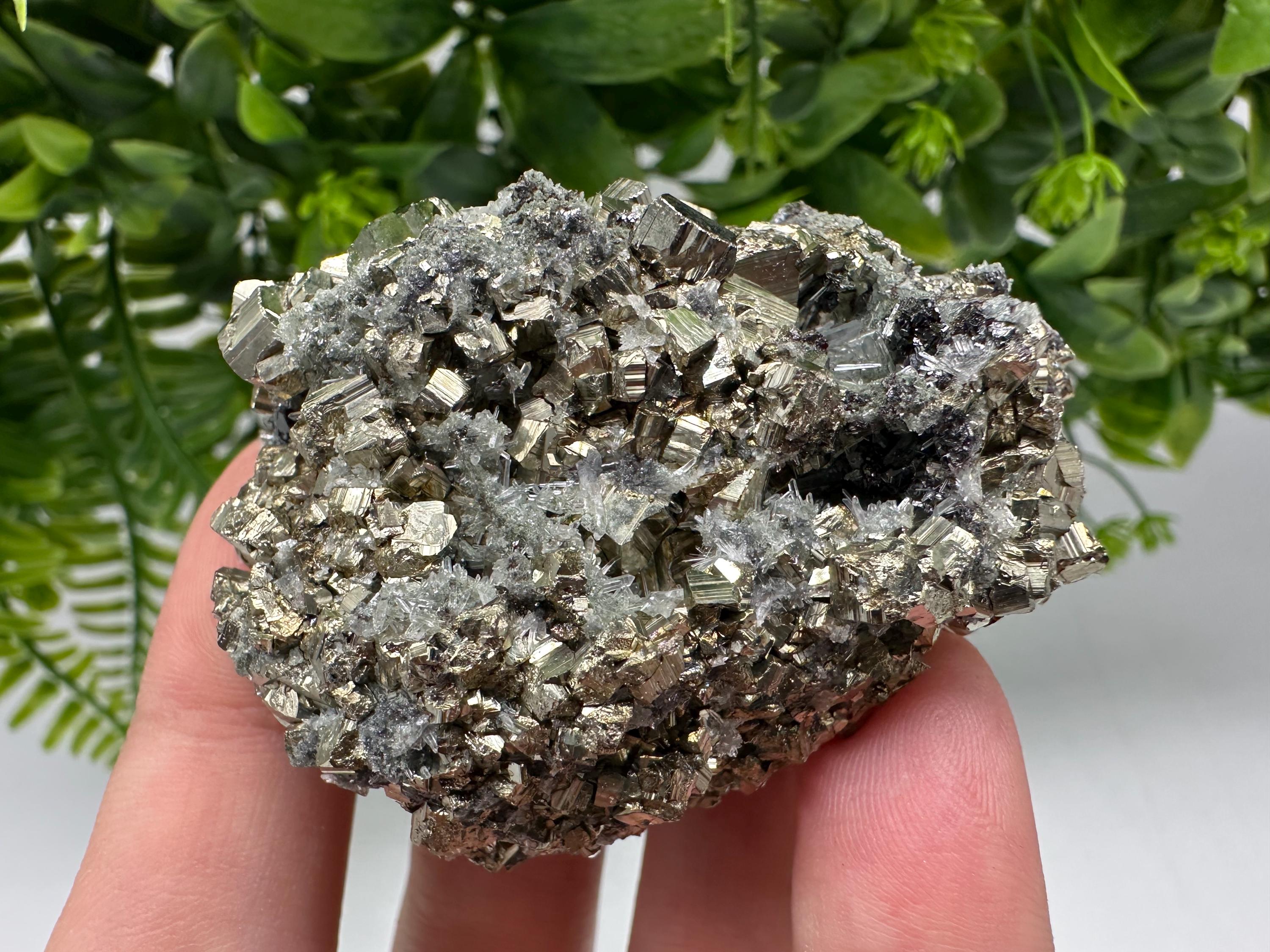 Pyrite on Green Quartz: Rare Mineral Specimen, Borieva Mine