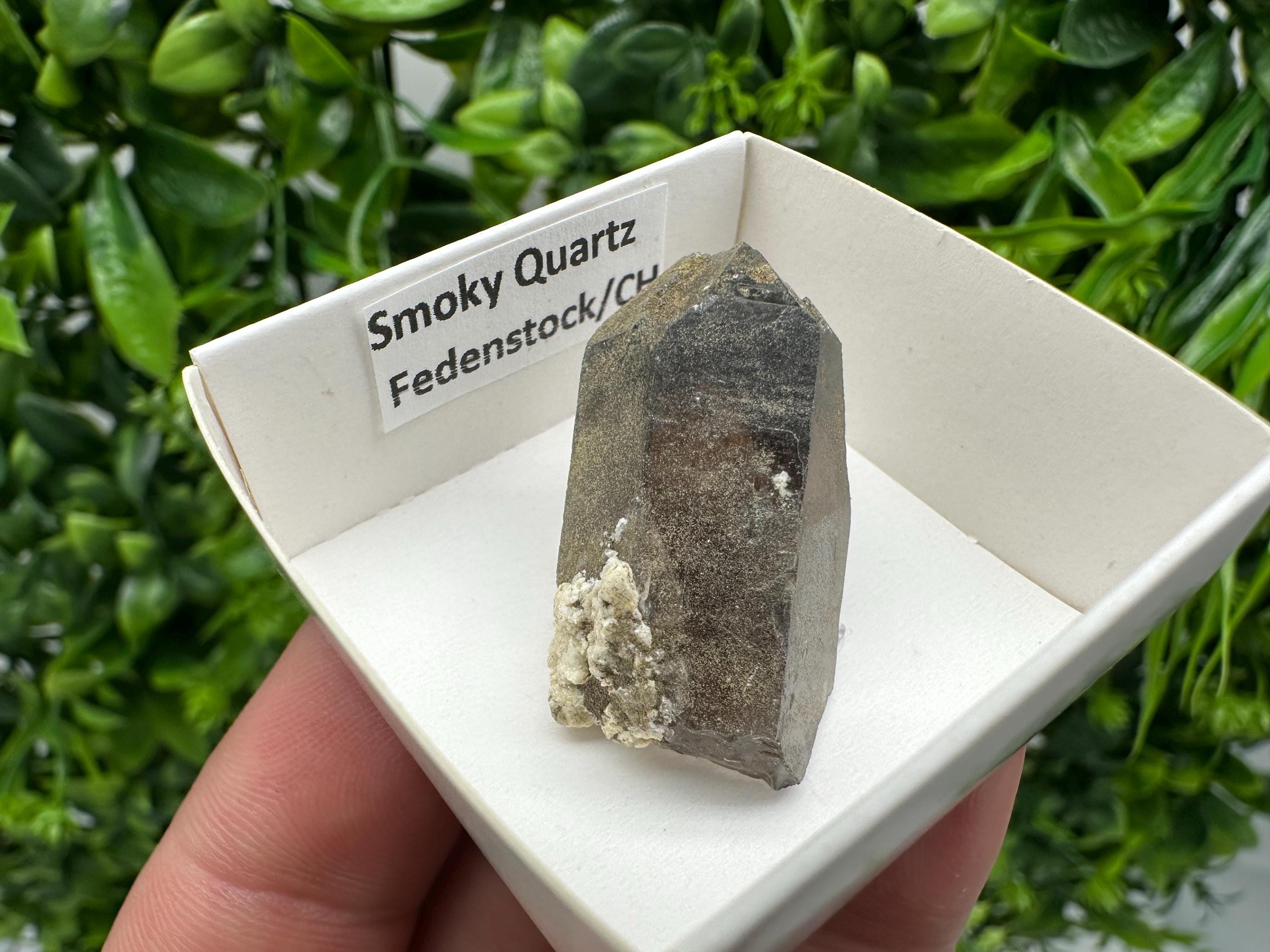 Rare Smoky Quartz Point from Fedenstock Switzerland (35mm)
