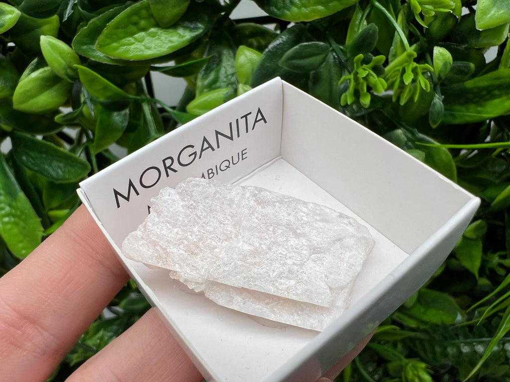 Rare Raw Morganite Specimen: Mozambique Crystal Mineral
