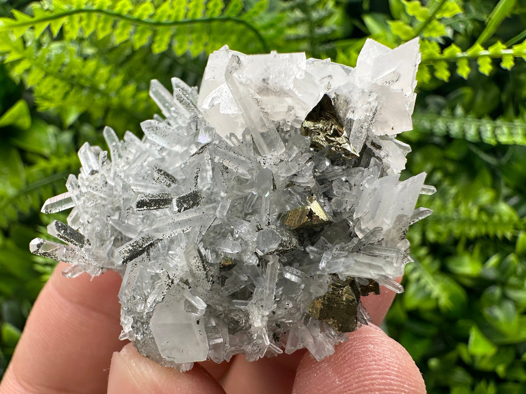 Chalcopyrite & Calcite on Quartz: Borieva Mine, Bulgaria
