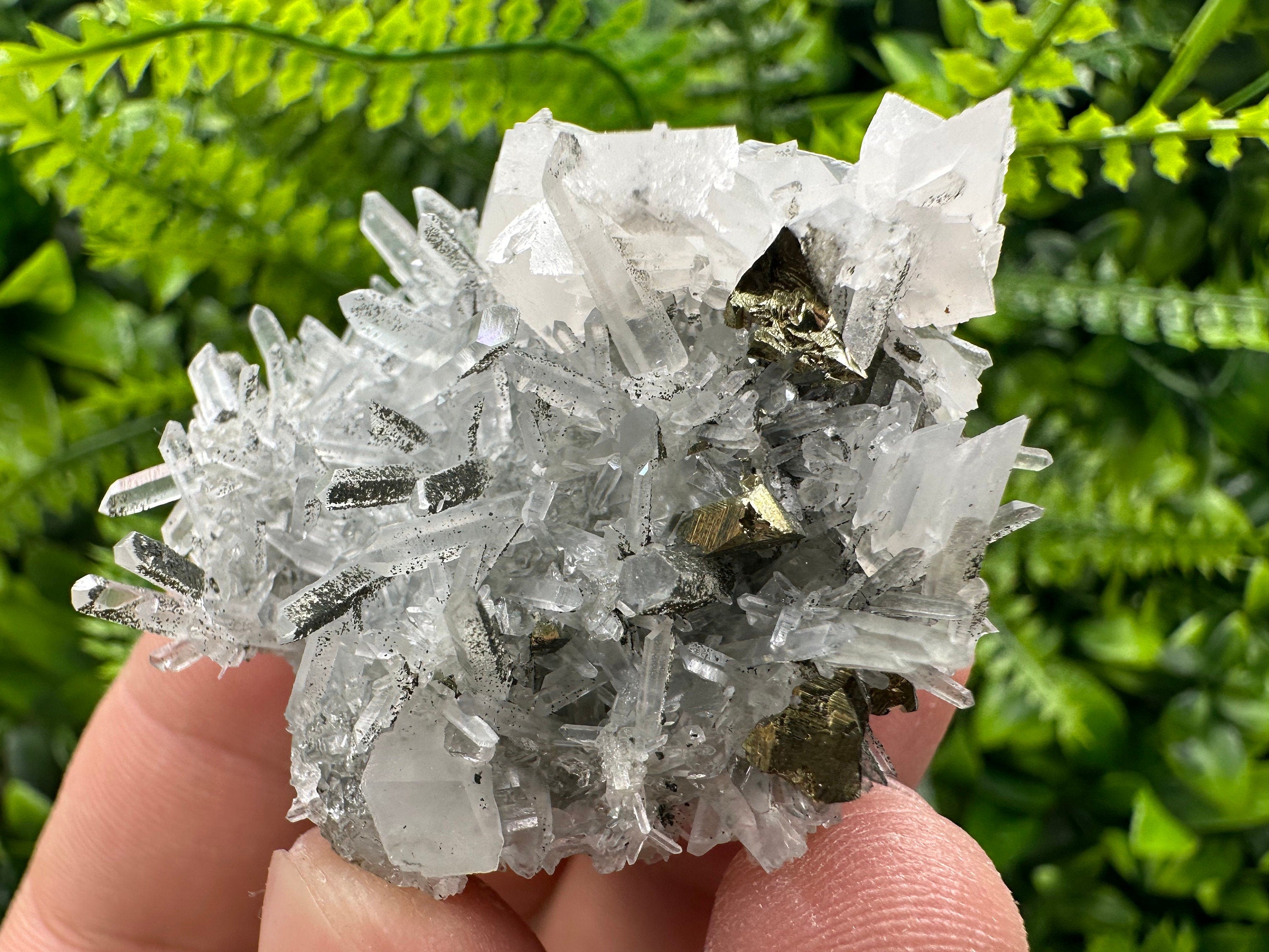Chalcopyrite & Calcite on Quartz: Borieva Mine, Bulgaria