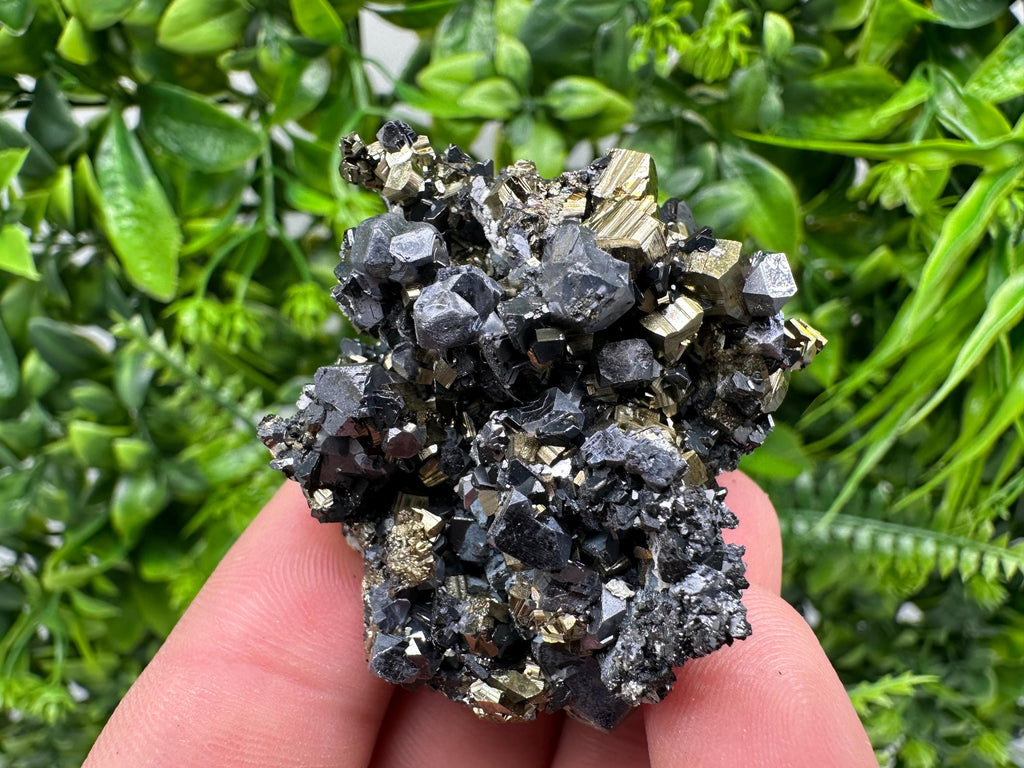 Galena on Pyrite Mineral Specimen, Borieva Mine, Bulgaria