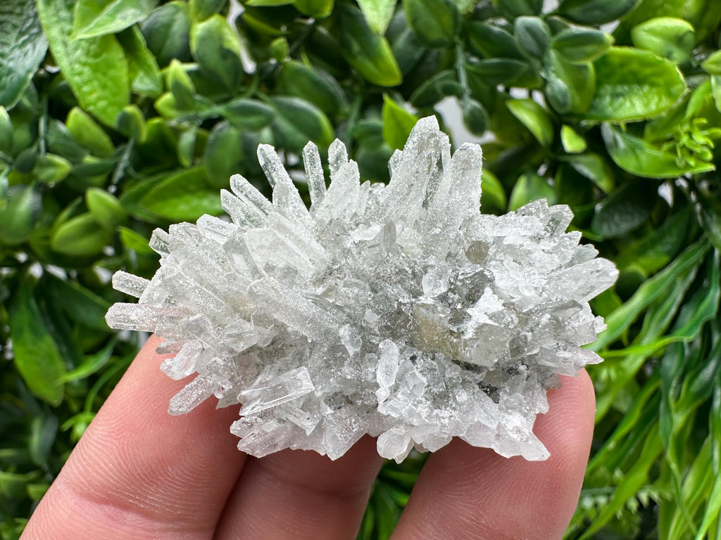 Transparent Quartz on Chlorite Matrix, Borieva Mine, Bulgaria