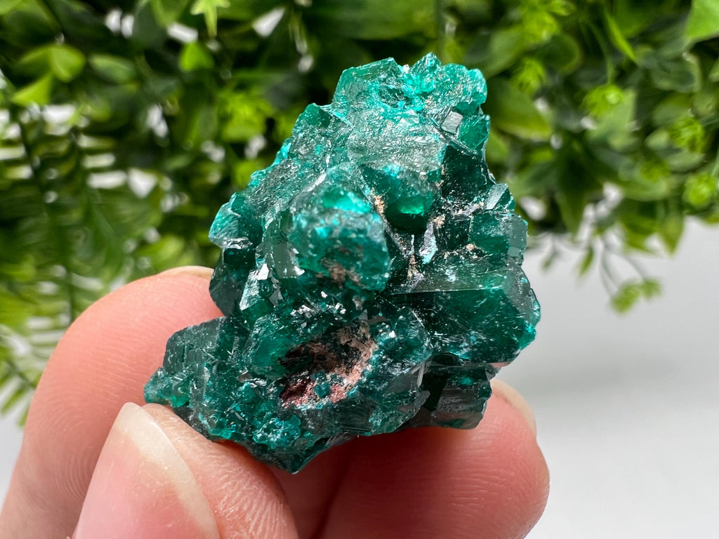 Stunning Green Dioptase from Sanda Hills,Mindouli,Pool Department,Mindouli District,Congo,green Dioptase,Dioptas Crystal,Dioptase collecting