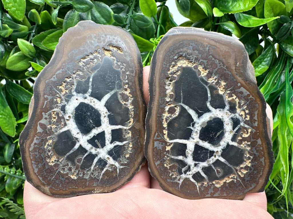 Septarian Nodule Geode Pair: Dragonstone Aragonite Limestone