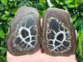 Septarian Nodule Geode Pair: Dragonstone Aragonite Limestone