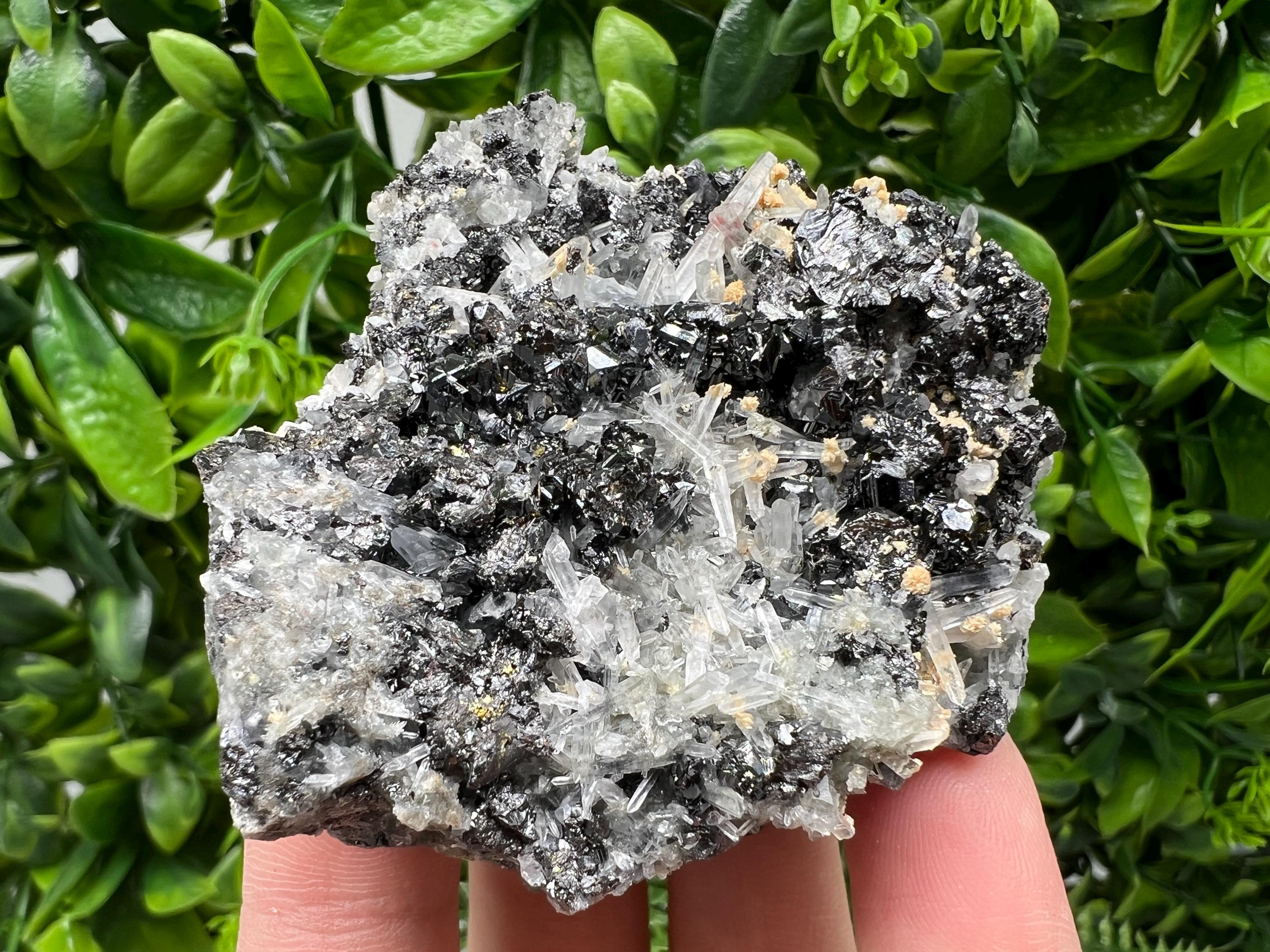 Galena Cluster with Siderite and Quartz, 9th September Mine, Bulgaria