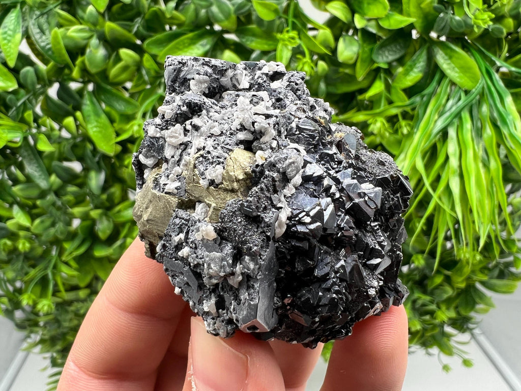 Aesthetic Natural shiny Galena whit Siderite and Quartz from 9 th September mine,Bulgaria,collection specimen,rare galena,Galena cluster