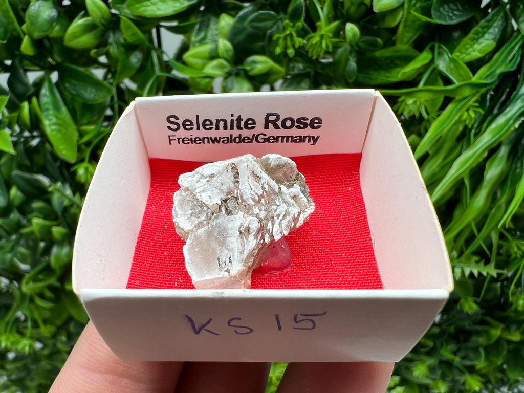 Selenite Rose Freienwalde,Germany natural crystal minerals,specimen,clusters,souvenirs,home decor,gift minerals,rare stone,collection
