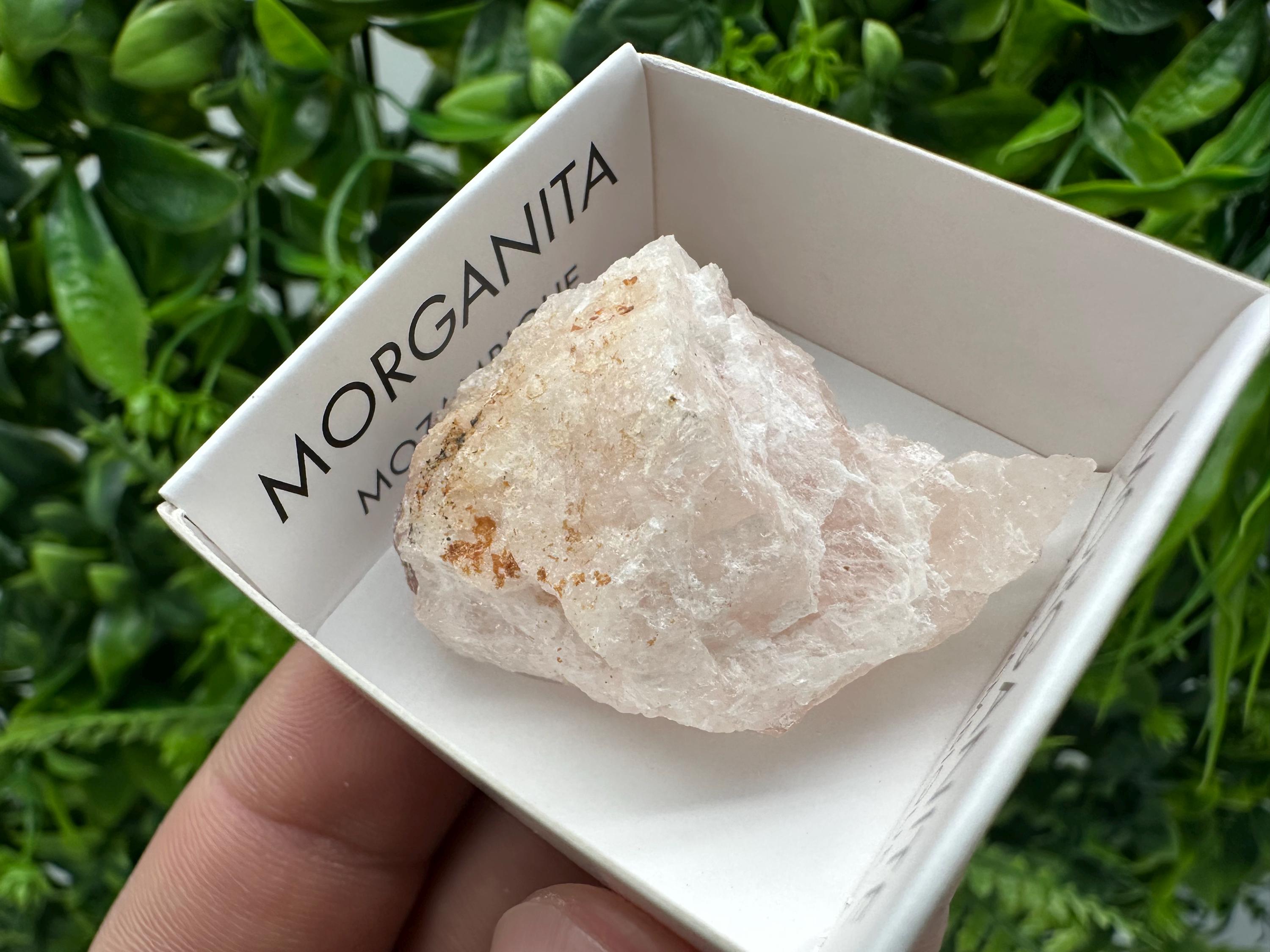 Rare Raw Morganite Specimen: Mozambique Crystal Collection (3/3.5cm)