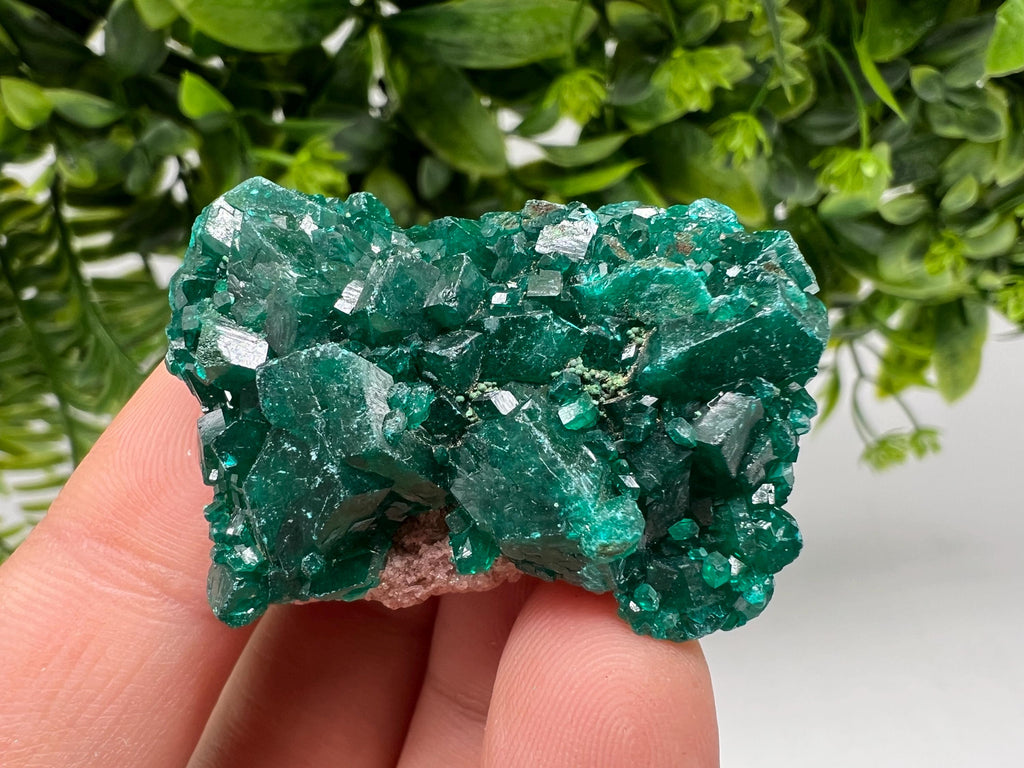 Stunning Green Dioptase from Sanda Hills,Mindouli,Pool Department,Mindouli District,Congo,green Dioptase,Dioptas Crystal,Dioptase collecting