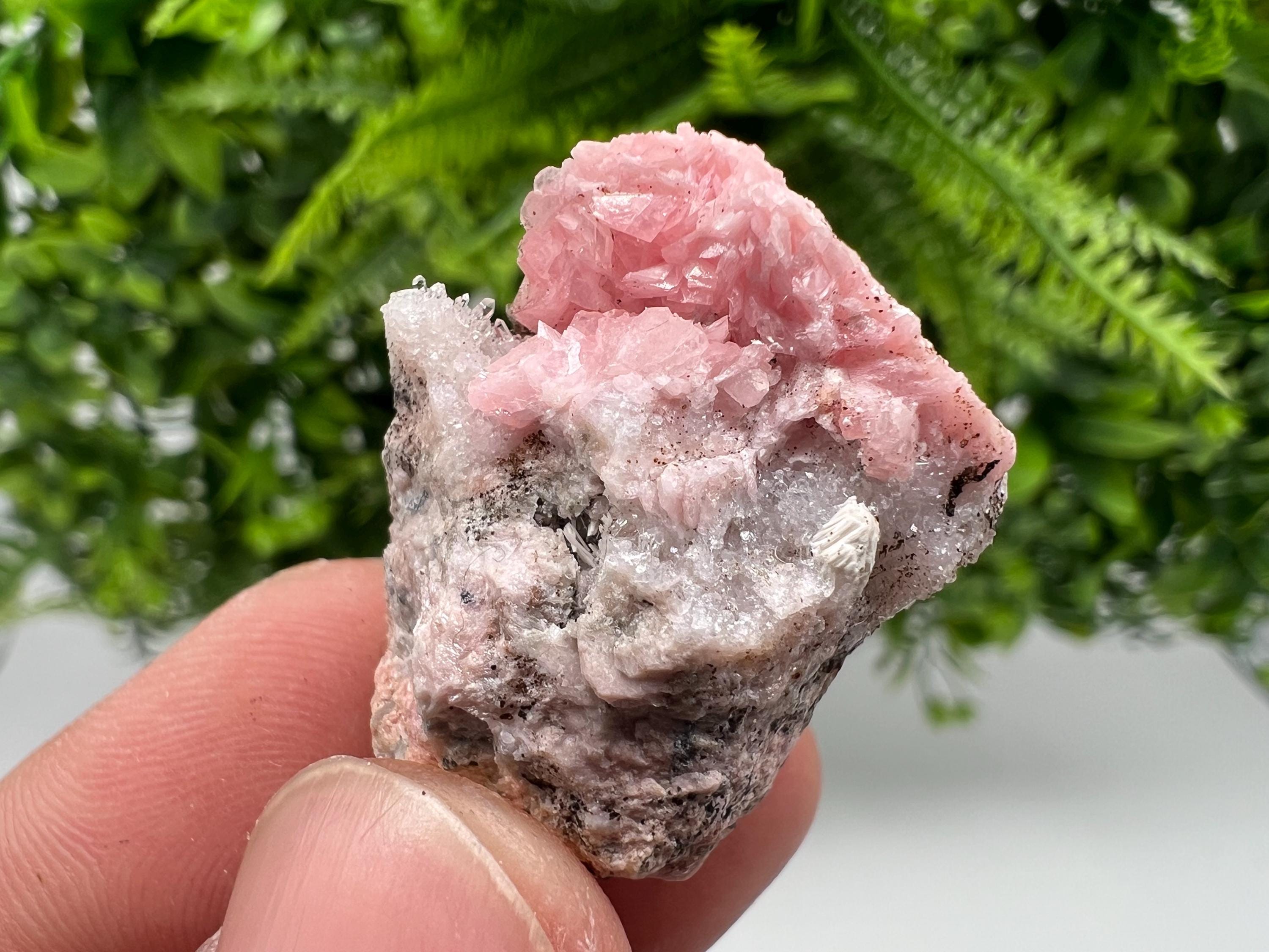 Rhodochrosite on Quartz: Pink Mineral Specimen, Starnica Mine, Bulgaria