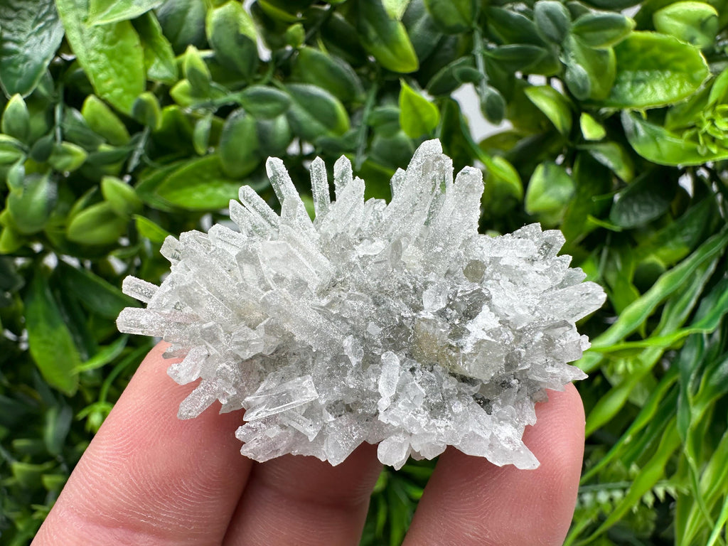 Transparent Quartz on Chlorite Matrix, Borieva Mine, Bulgaria
