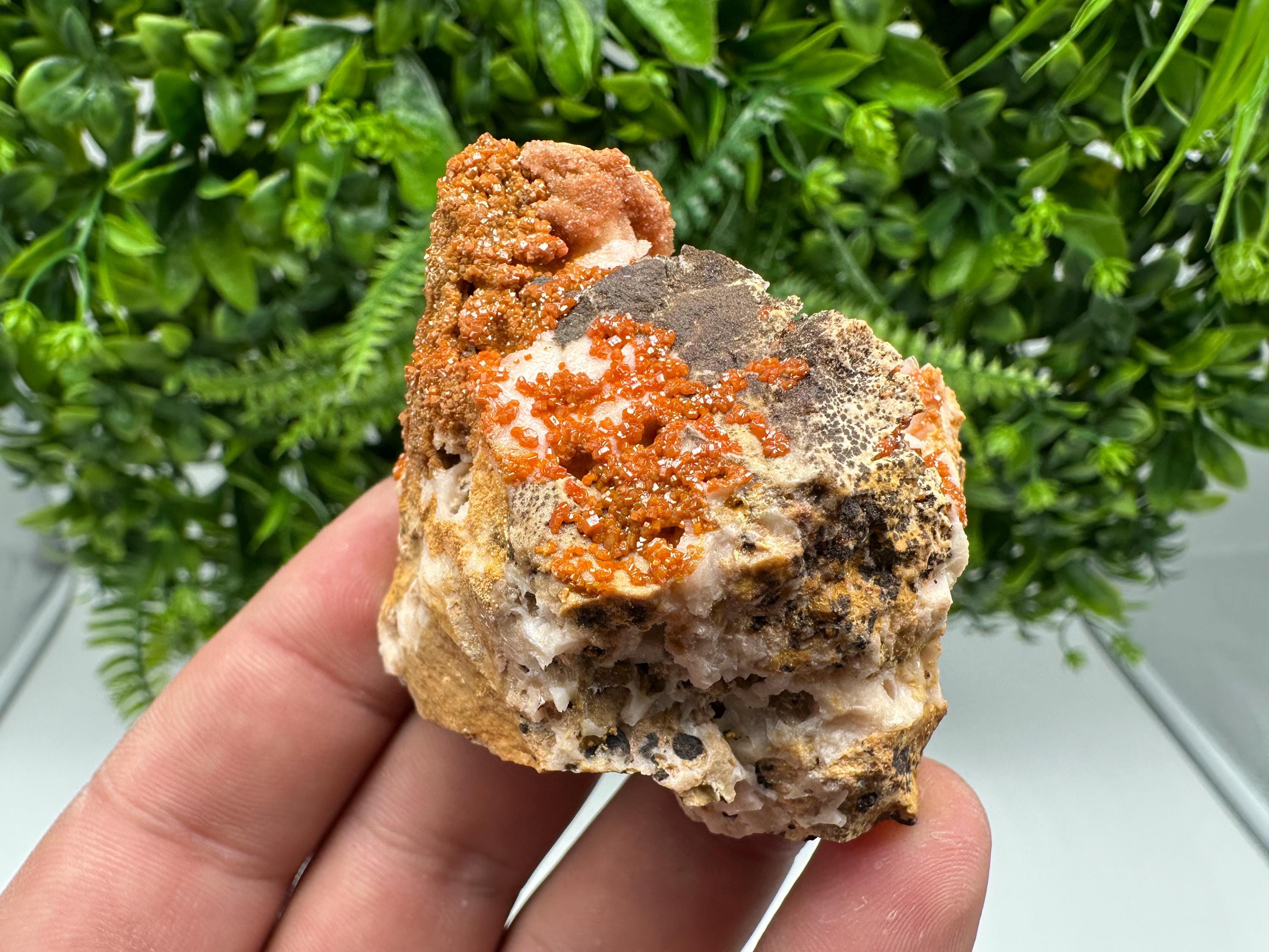 Red Vanadinite on Barite from Marocco,crystal minerals Speciment cluster Vanadinite crystal Vanadinite Geology Vanadinite cluster minerals