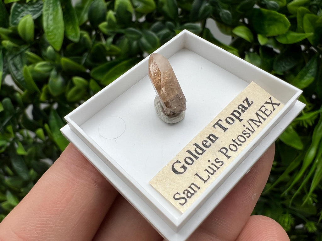 Beautiful Golden Topaz from Mexico,collection piece Crystal,Mineral,collectibles,Collectors, Natural Crystal, Minerals from Mexico,original,