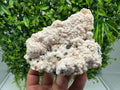 Stunning Manganocalcite whit Cleiopfane  from Krushev dol mine,Madan,Bulgaria,pink Calcite,Mangano Calcite,natural,collection mineral specim