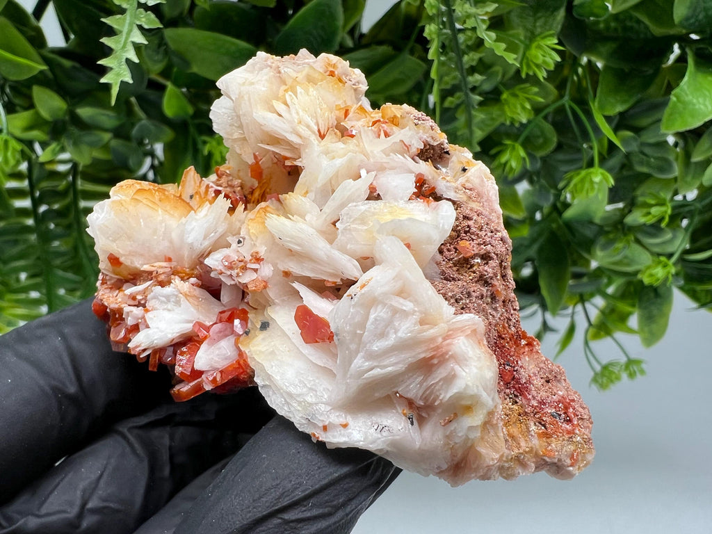Red Vanadinite on Barite from Marocco,crystal minerals Speciment cluster Vanadinite crystal Vanadinite Geology Vanadinite cluster minerals