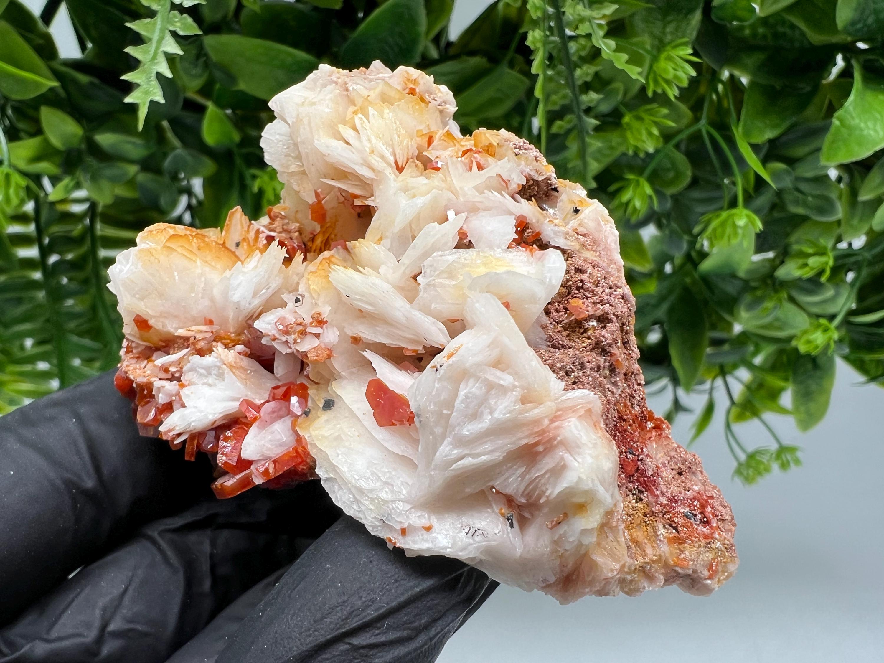 Red Vanadinite on Barite from Marocco,crystal minerals Speciment cluster Vanadinite crystal Vanadinite Geology Vanadinite cluster minerals